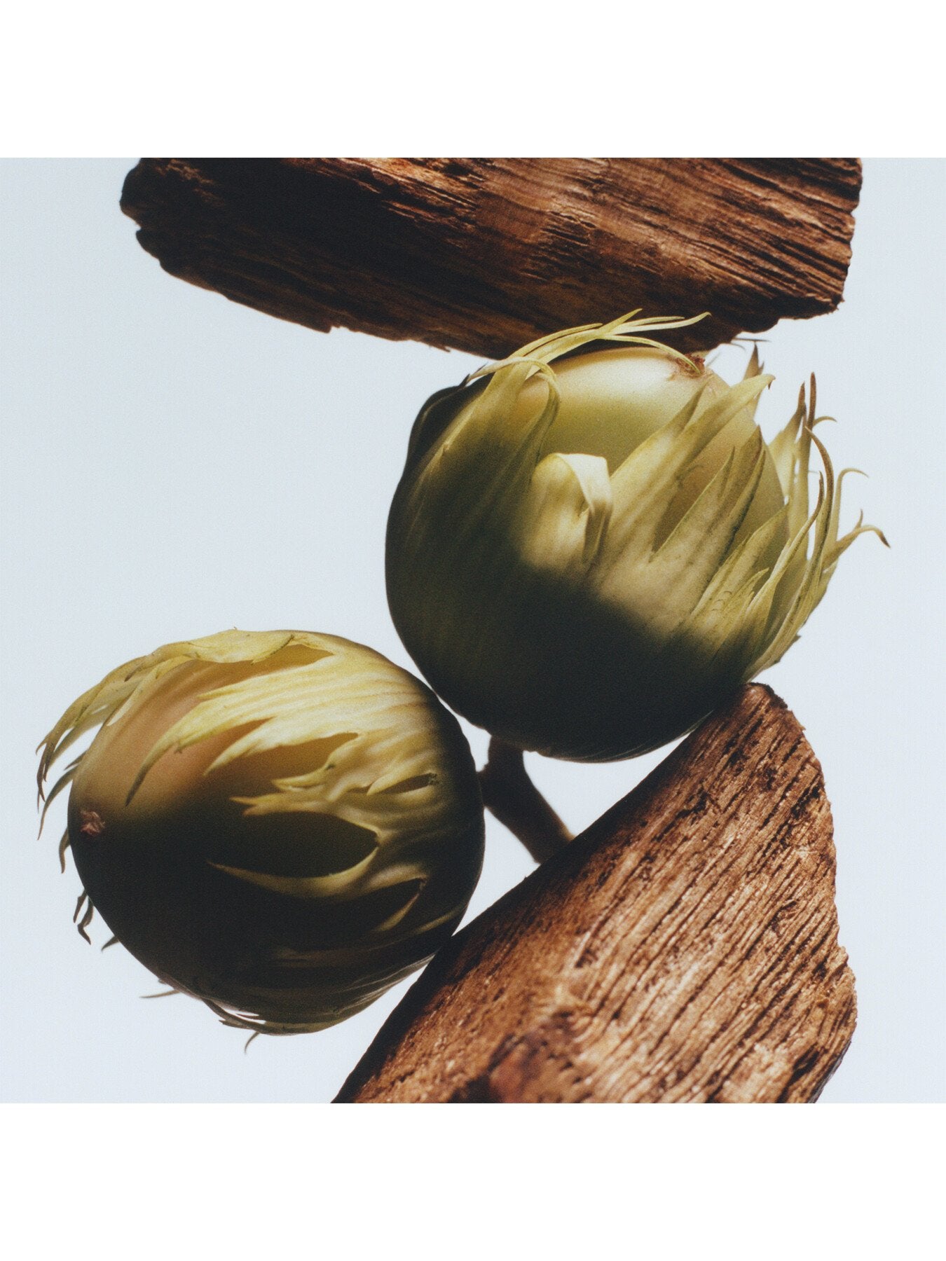 English Oak and Hazelnut Cologne 100ml