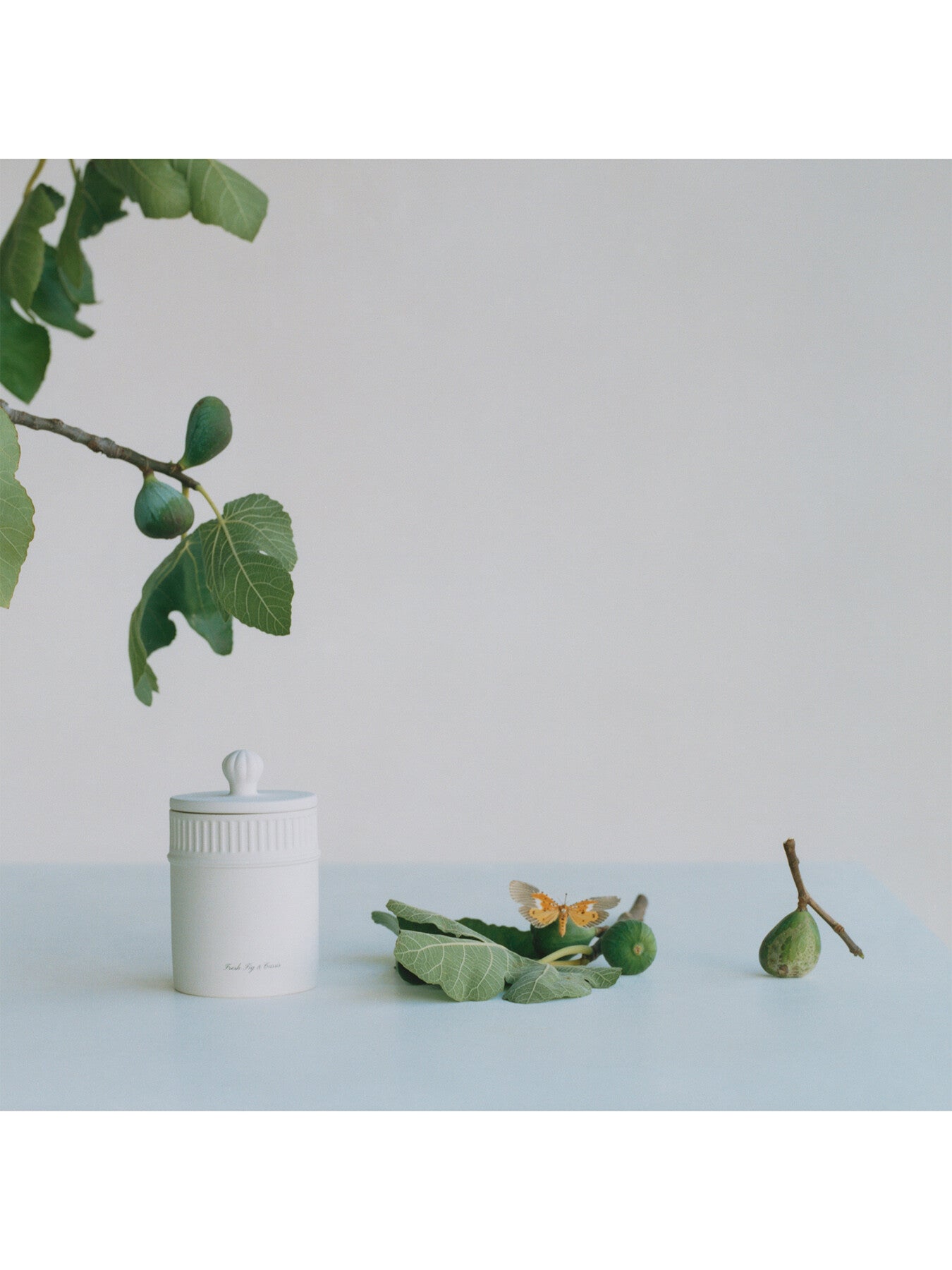 Fresh Fig & Cassis Townhouse Candle 300g