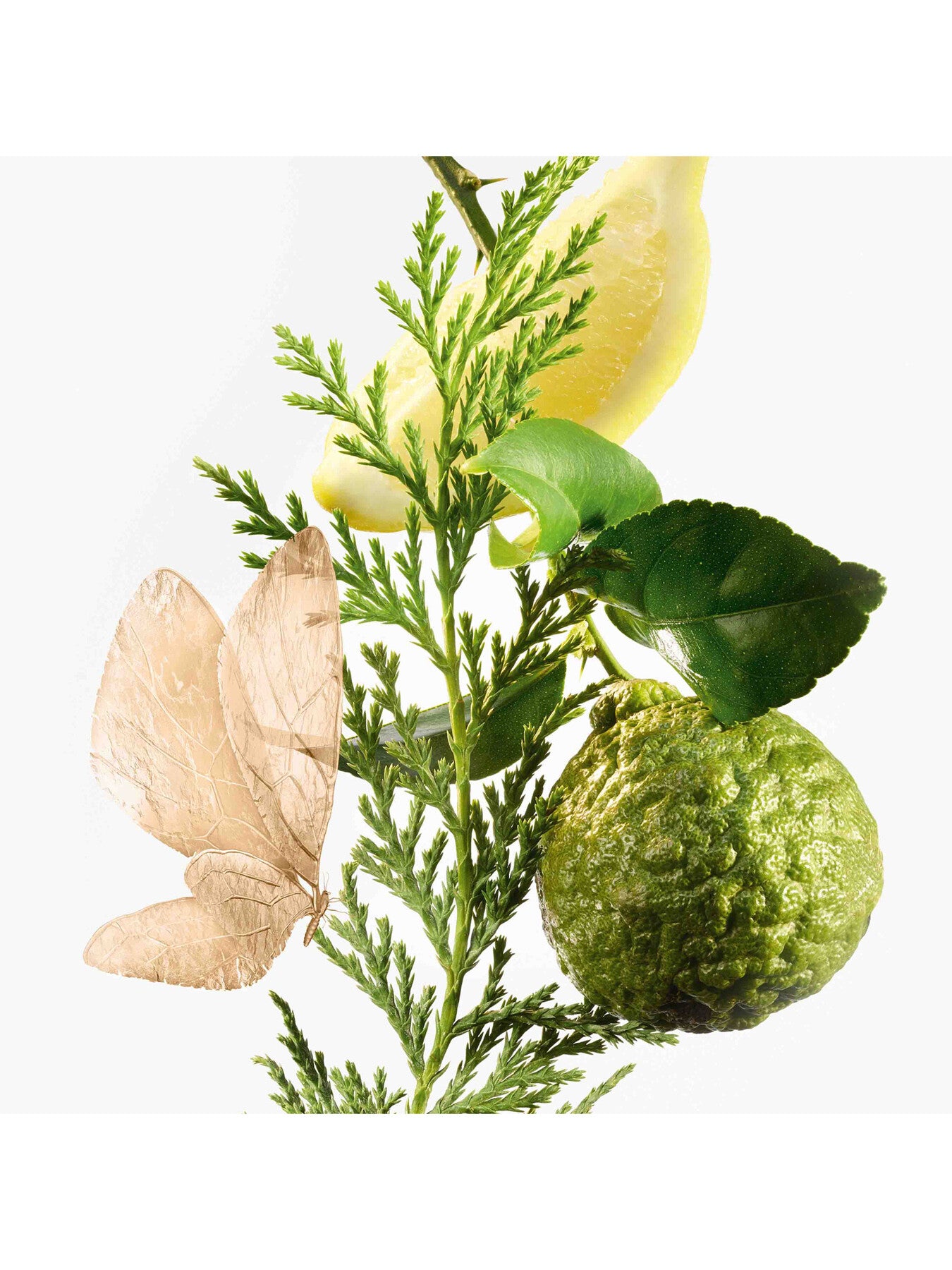 Eau dHadrien Womens Eau de Parfum 100ml