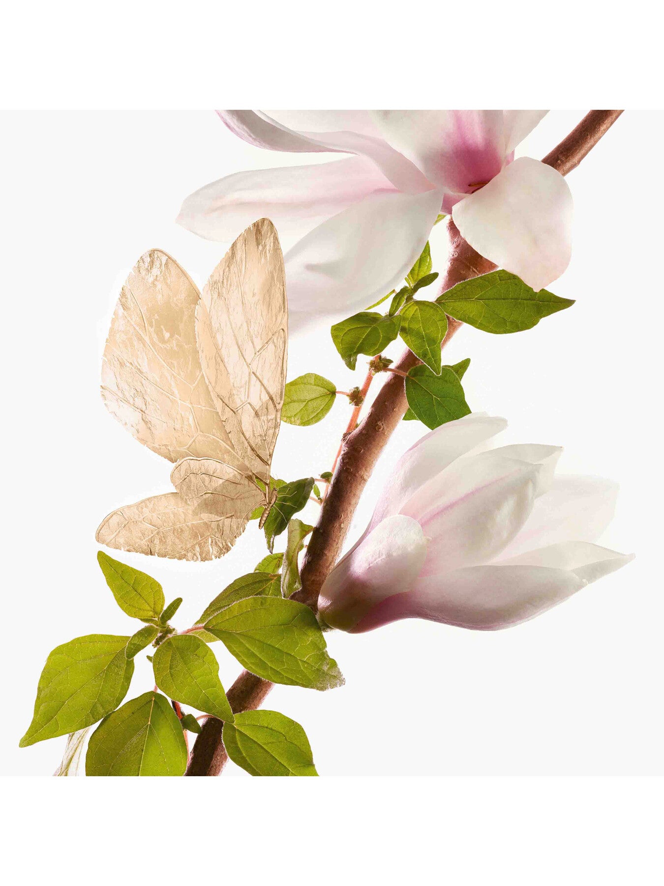 Un Matin dOrage Womens Eau de Parfum 100ml