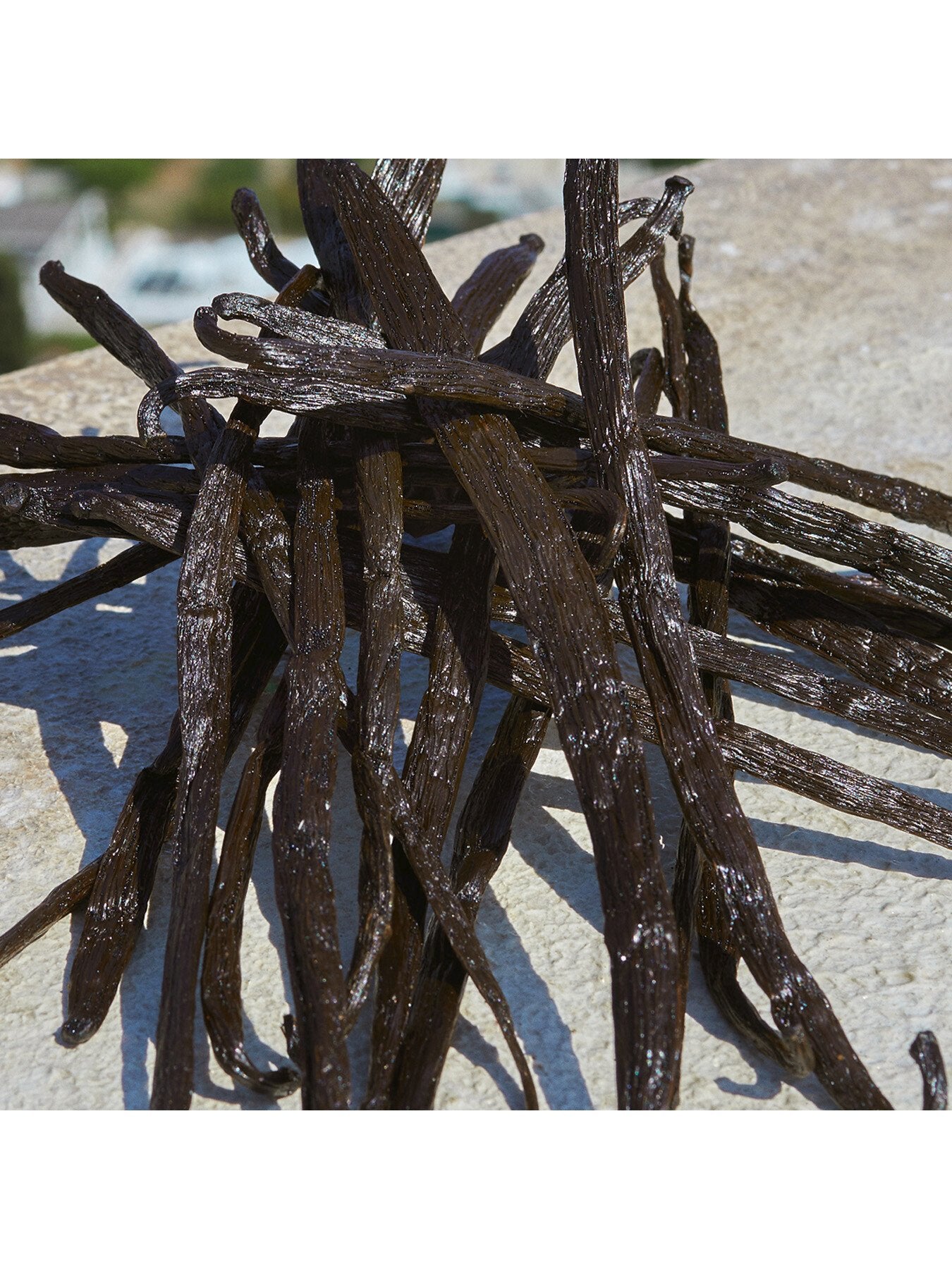 Devotion Eau de Parfum 100ml