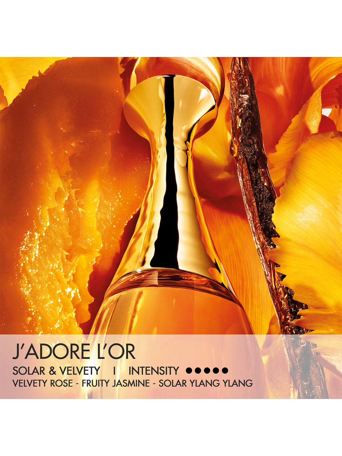 J'adore L'Or Essence de Parfum - Limited Edition Case