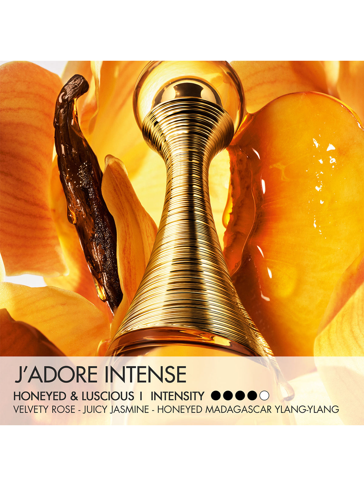 J’adore Intense Parfum - Limited Edition Case