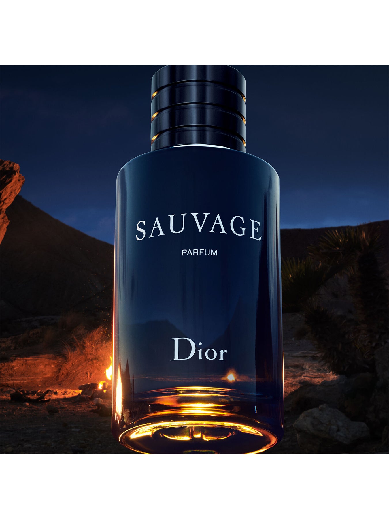 Sauvage EDP Intense 60ml (No Colour)