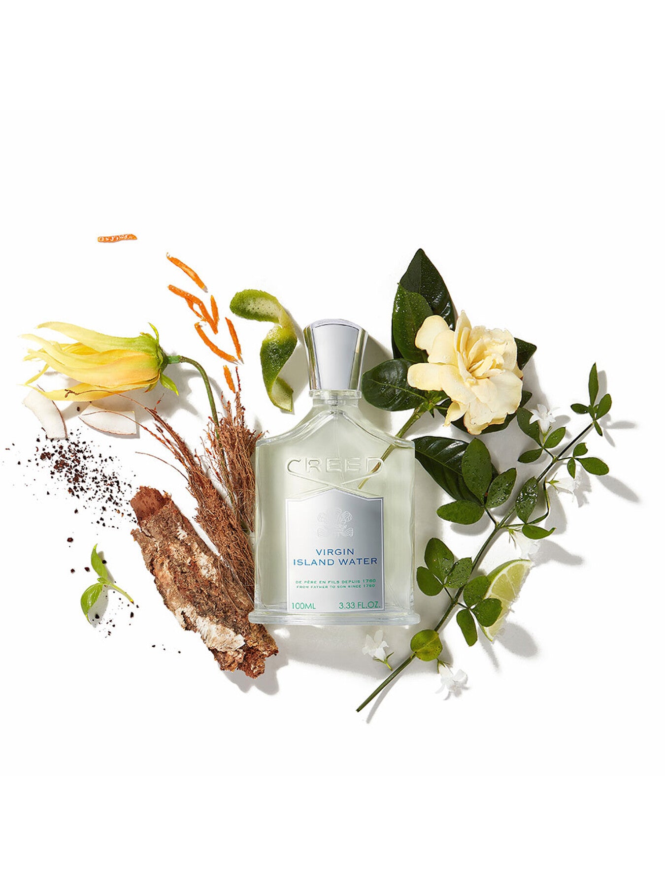 Virgin Island Water Eau de Parfum 100ml