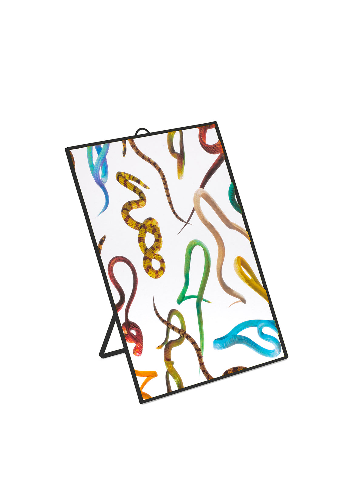 Toiletpaper Mirror Snakes