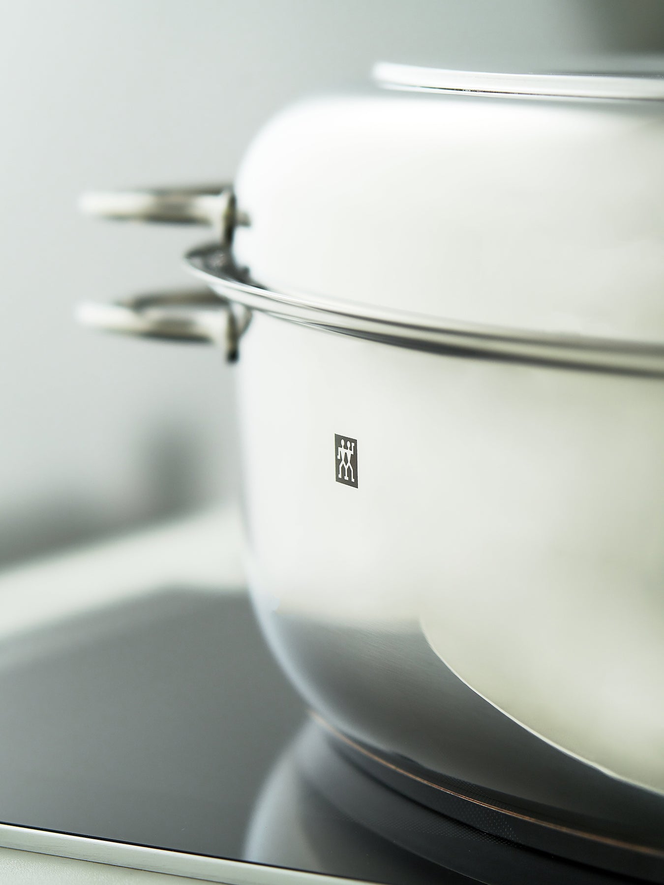 Plus Multi Roaster 38cm Silver