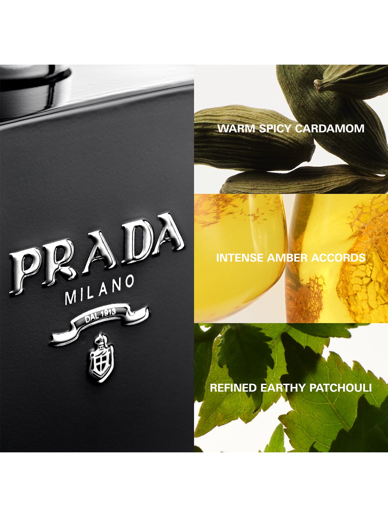 L’Homme Prada Intense Eau de Parfum 100ml