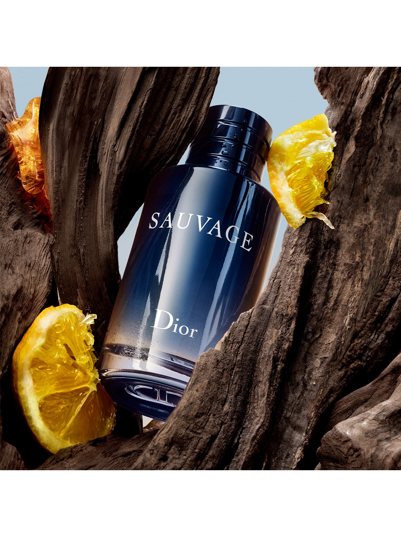 Sauvage EDT 60ml (No Colour)