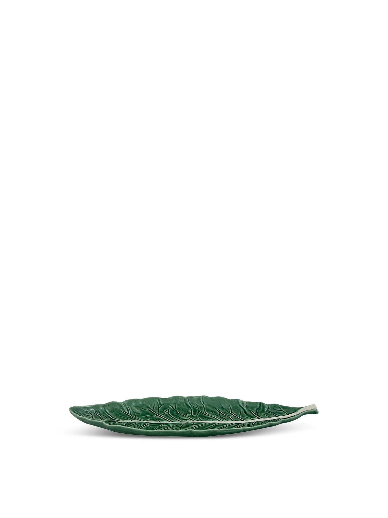 Cabbage Leaf
