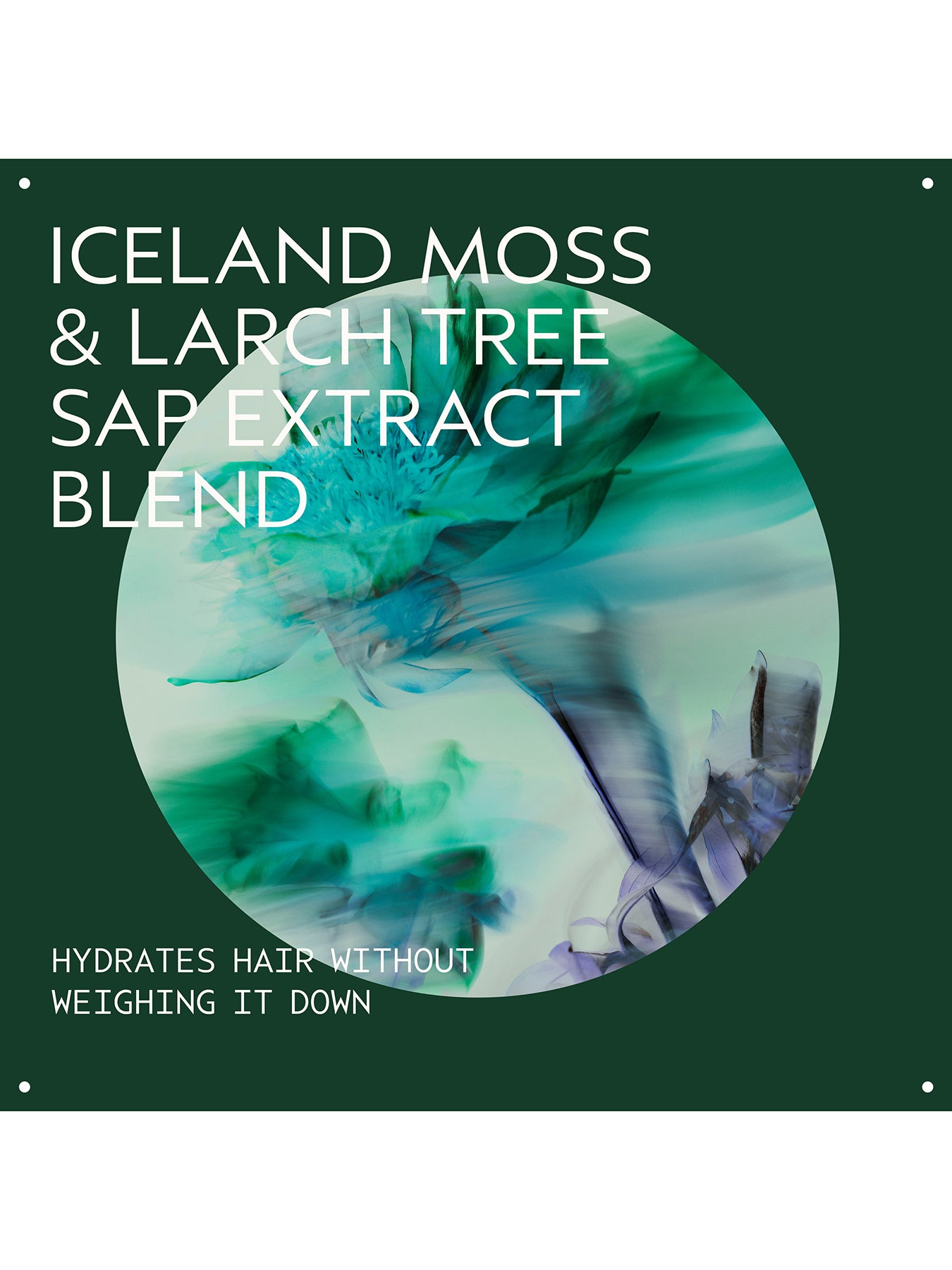 Sap Moss Shampoo 200ml
