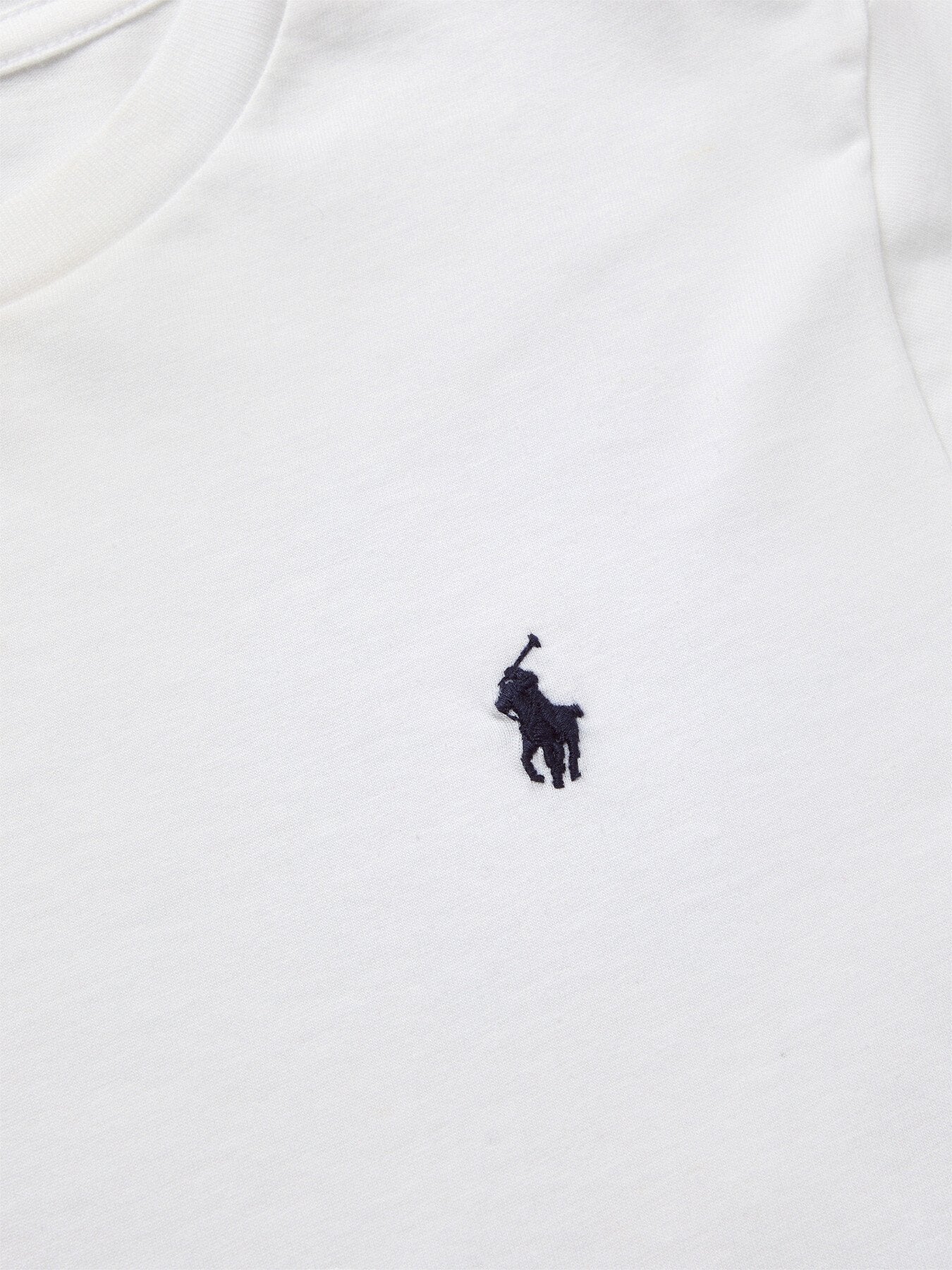 Cotton Jersey Crewneck T-Shirt
