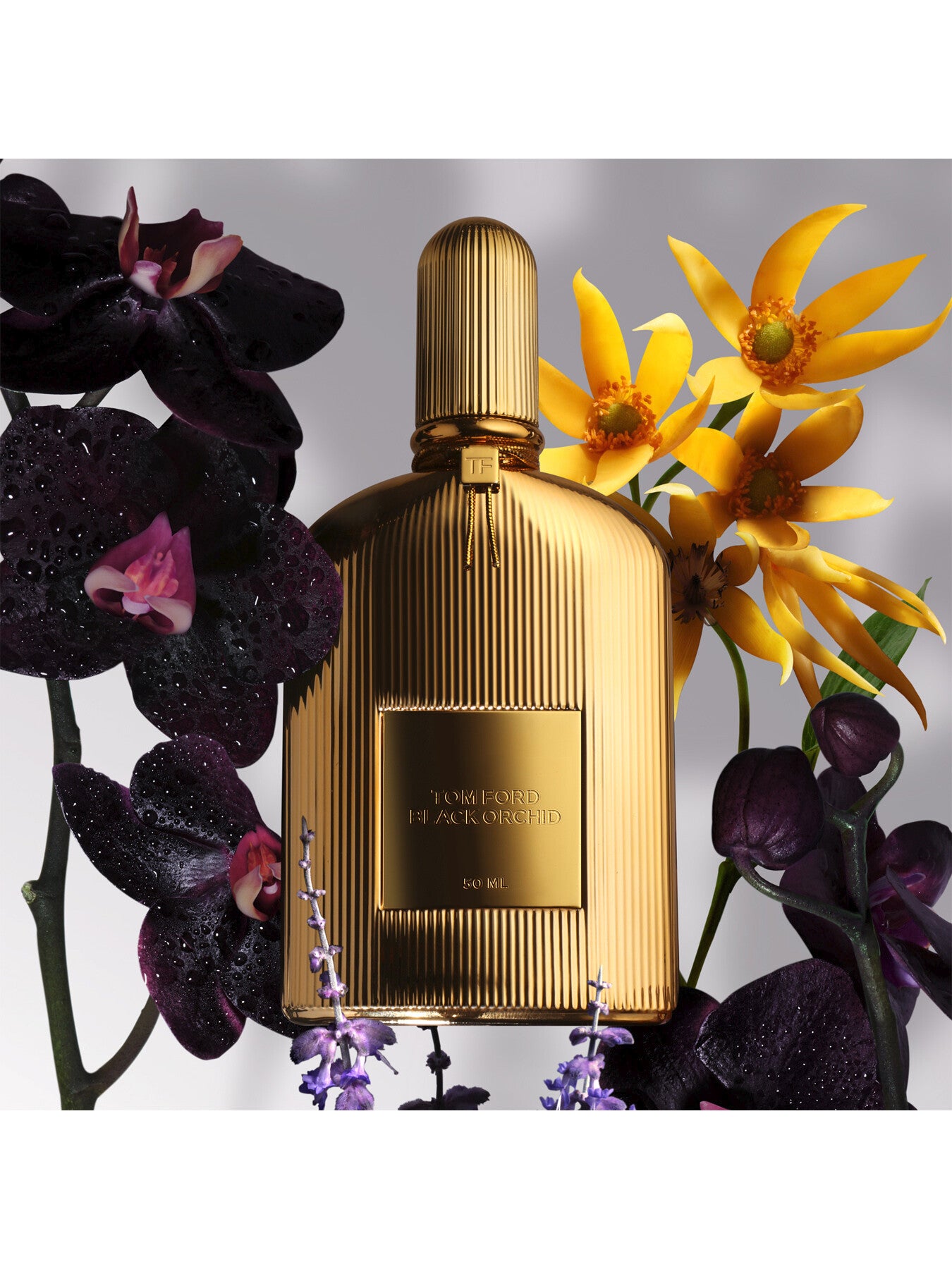 Black Orchid Parfum 100ml