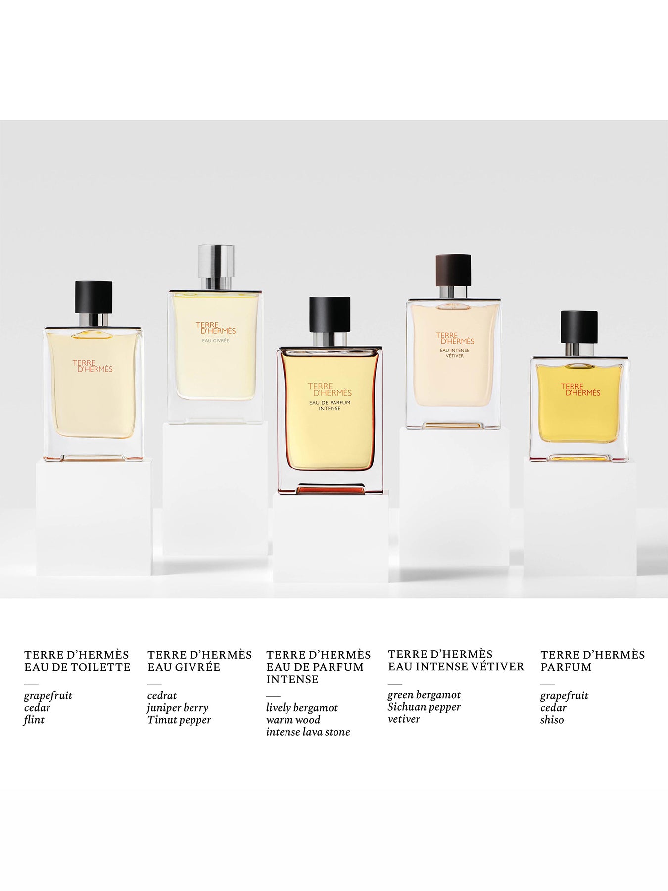 Terre d'Hermès Eau Intense Vétiver Eau de Parfum 50ml