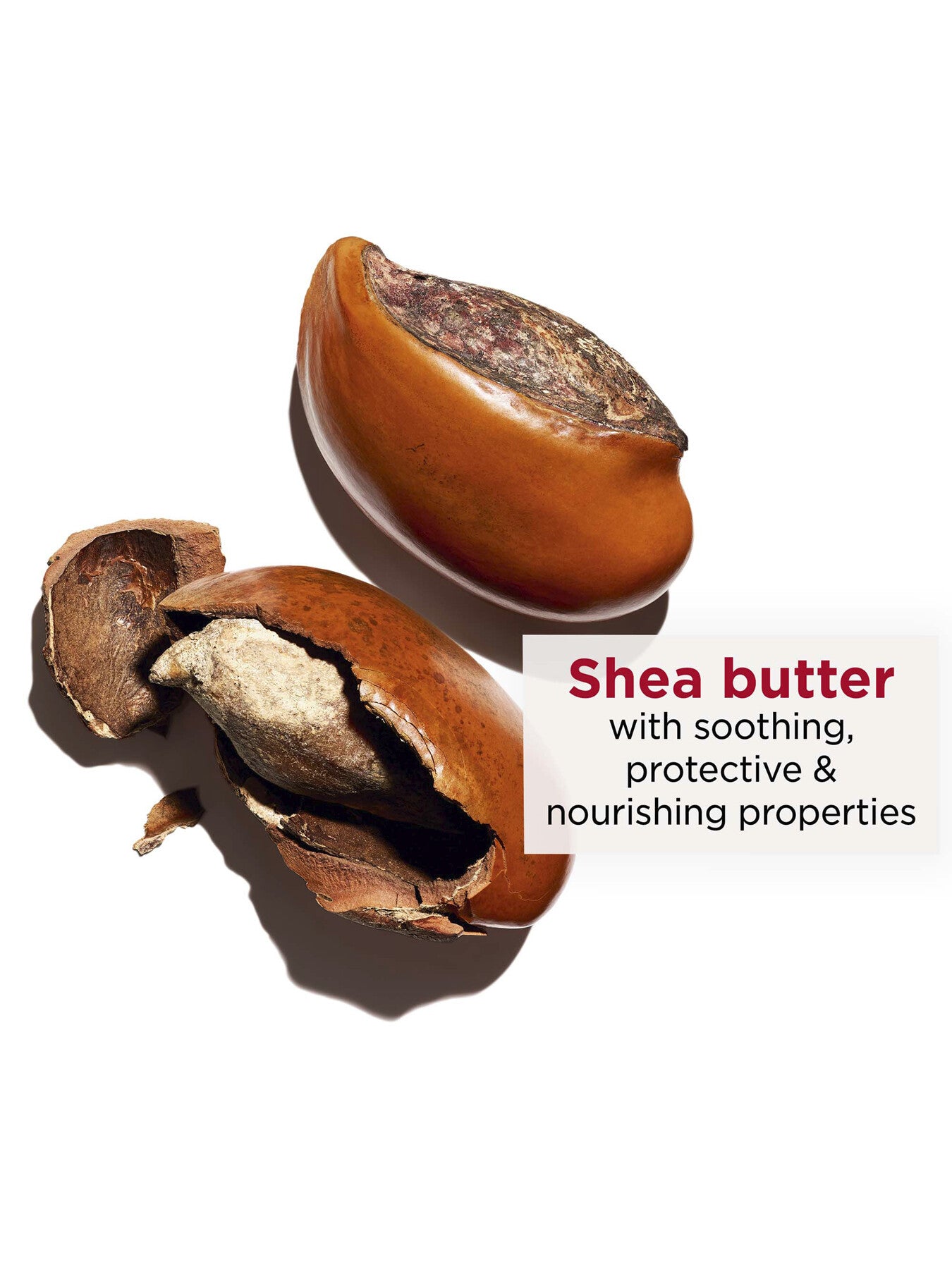 Moisture Rich Body Lotion 200ml