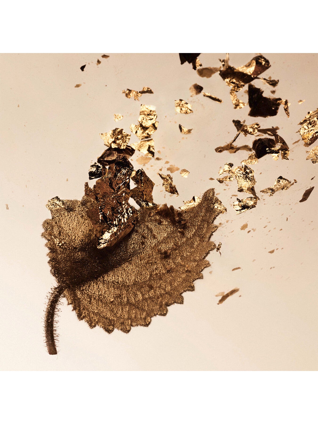 Splendida Patchouli Tentation Eau de Parfum 100ml