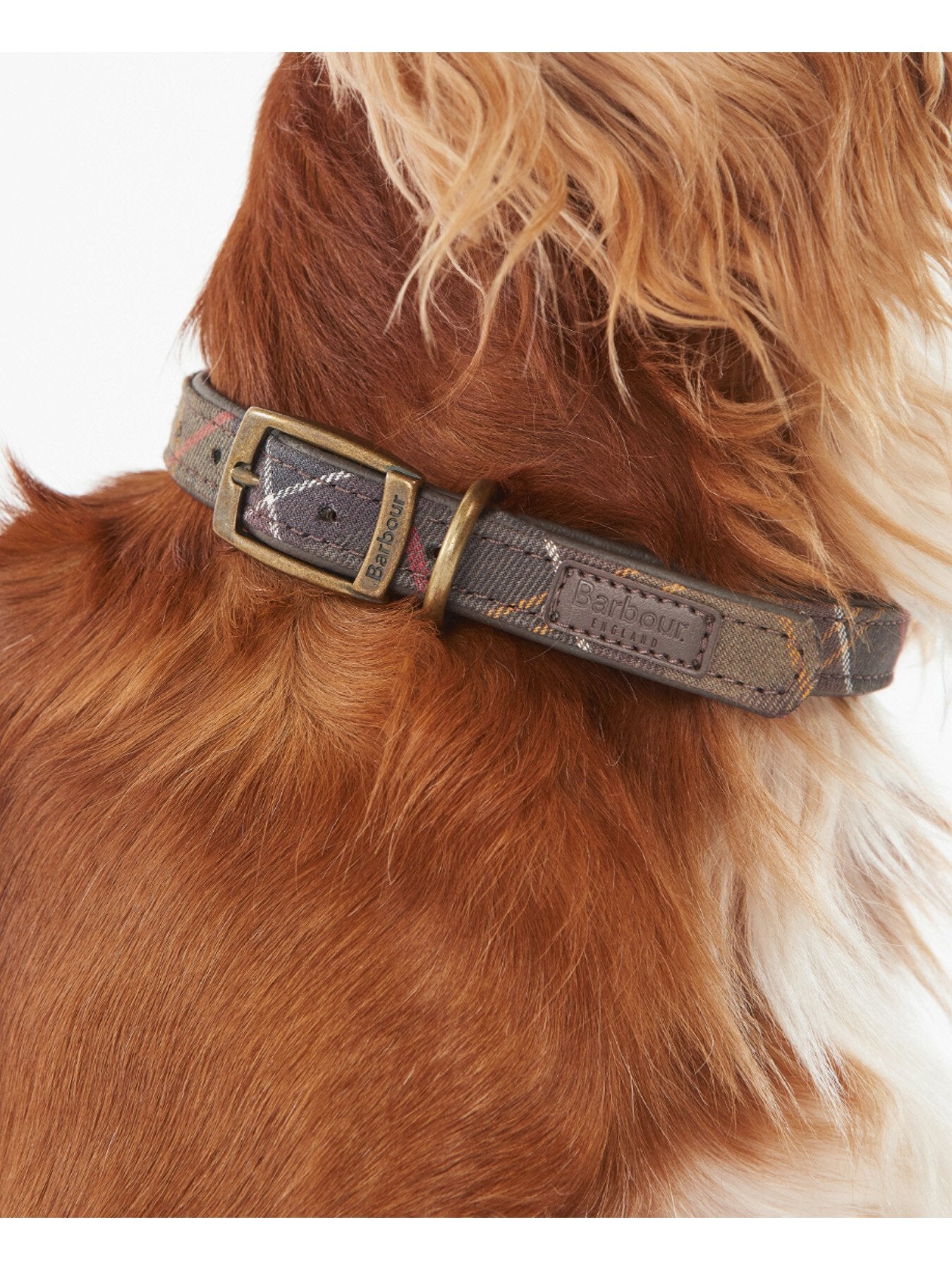 Dog Collar Tartan Large