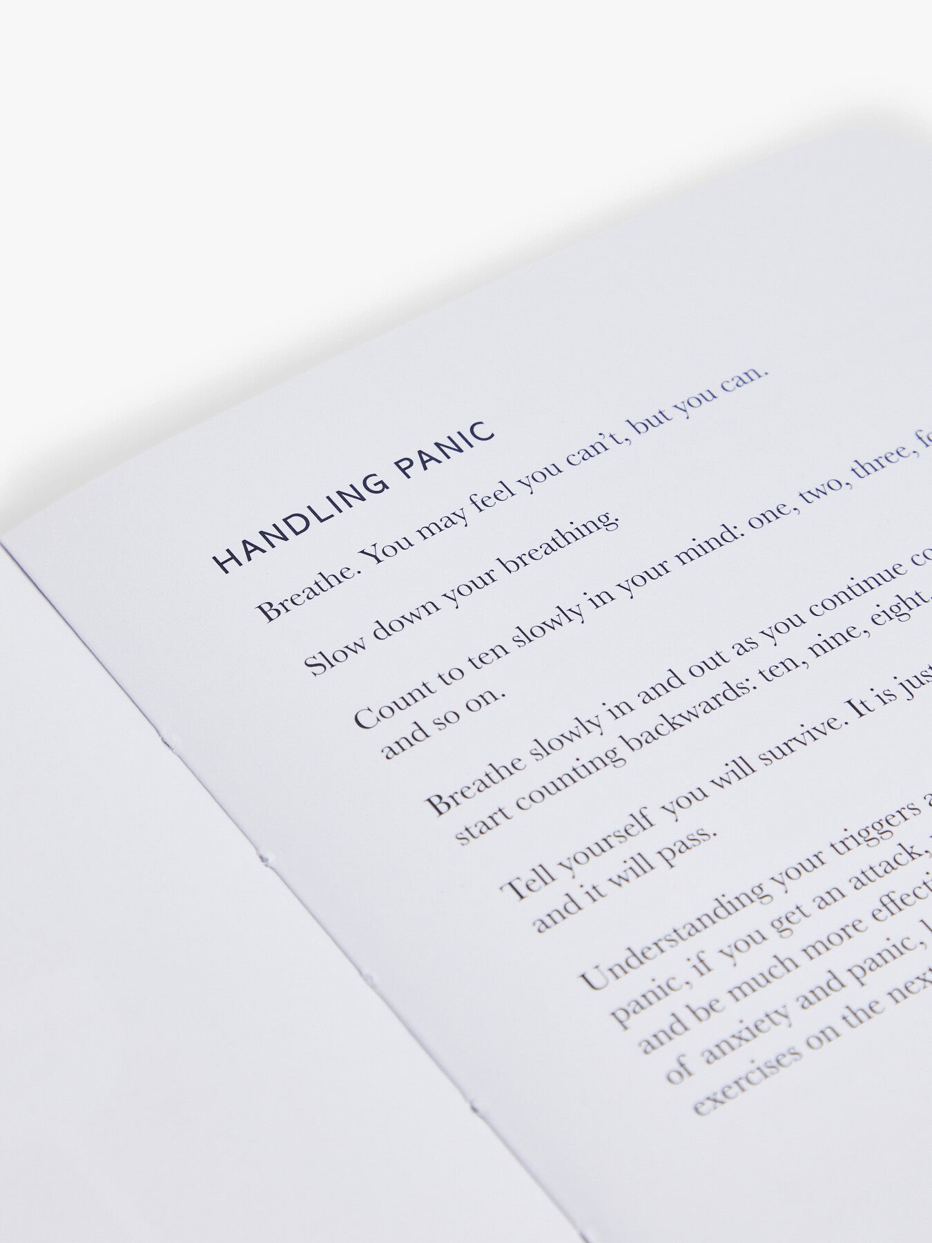 The Anxiety Journal