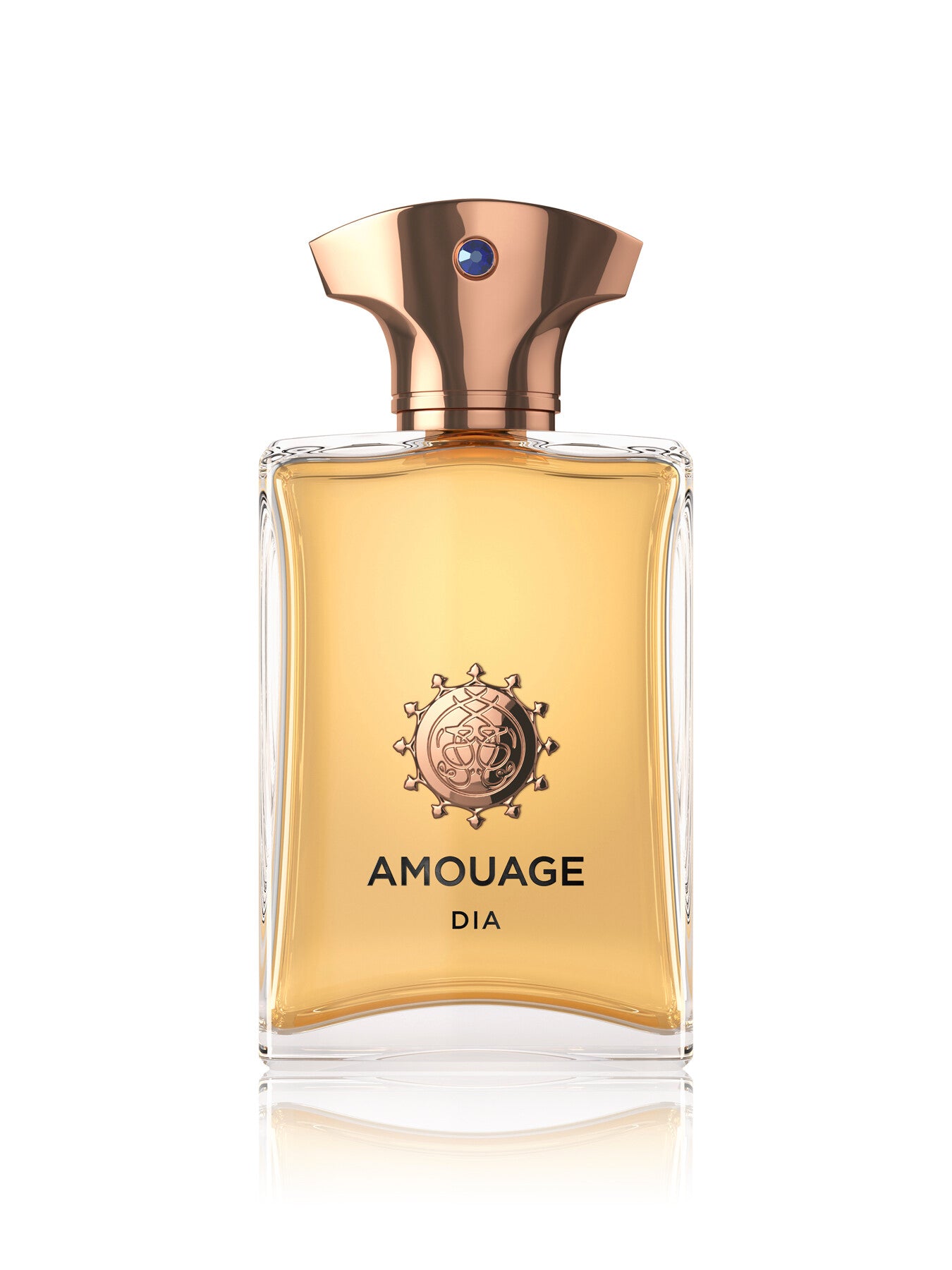 Dia Man Eau de Parfum 100ml