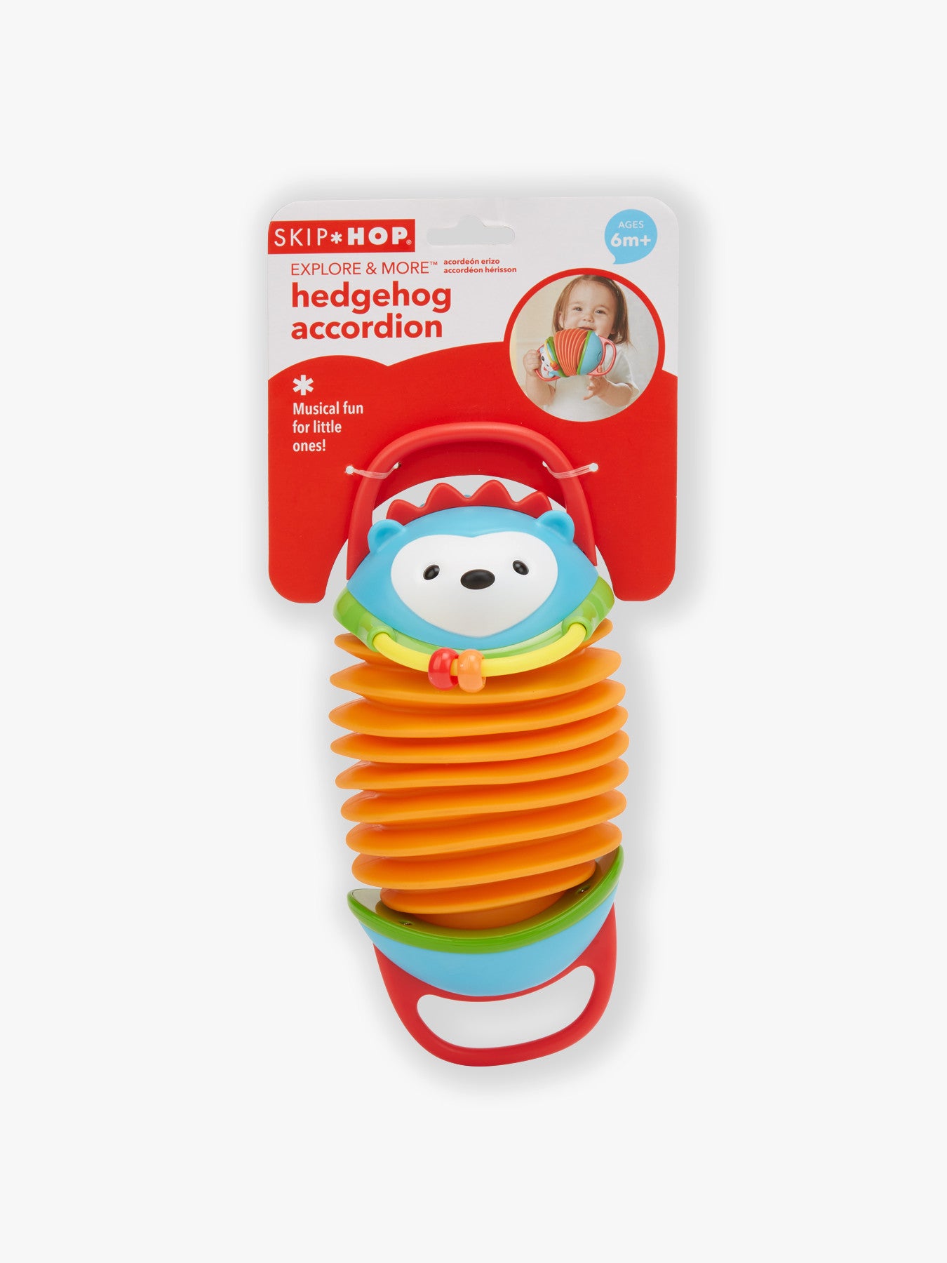 EM Hedgehog Accordion