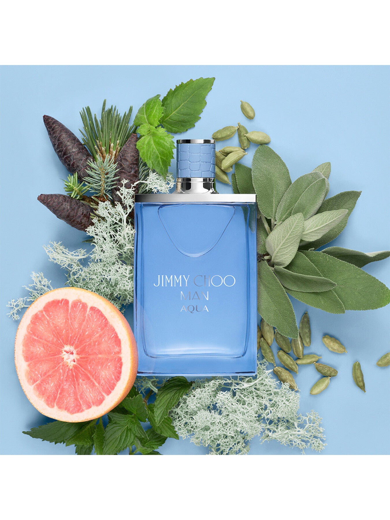 Man Aqua Eau de Toilette 50ml