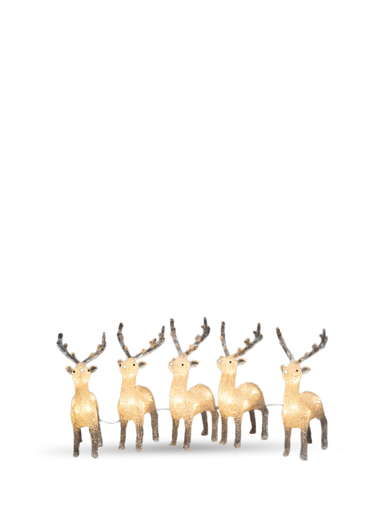 Acrylic Reindeer LED Lightset 5 Piece Warm White