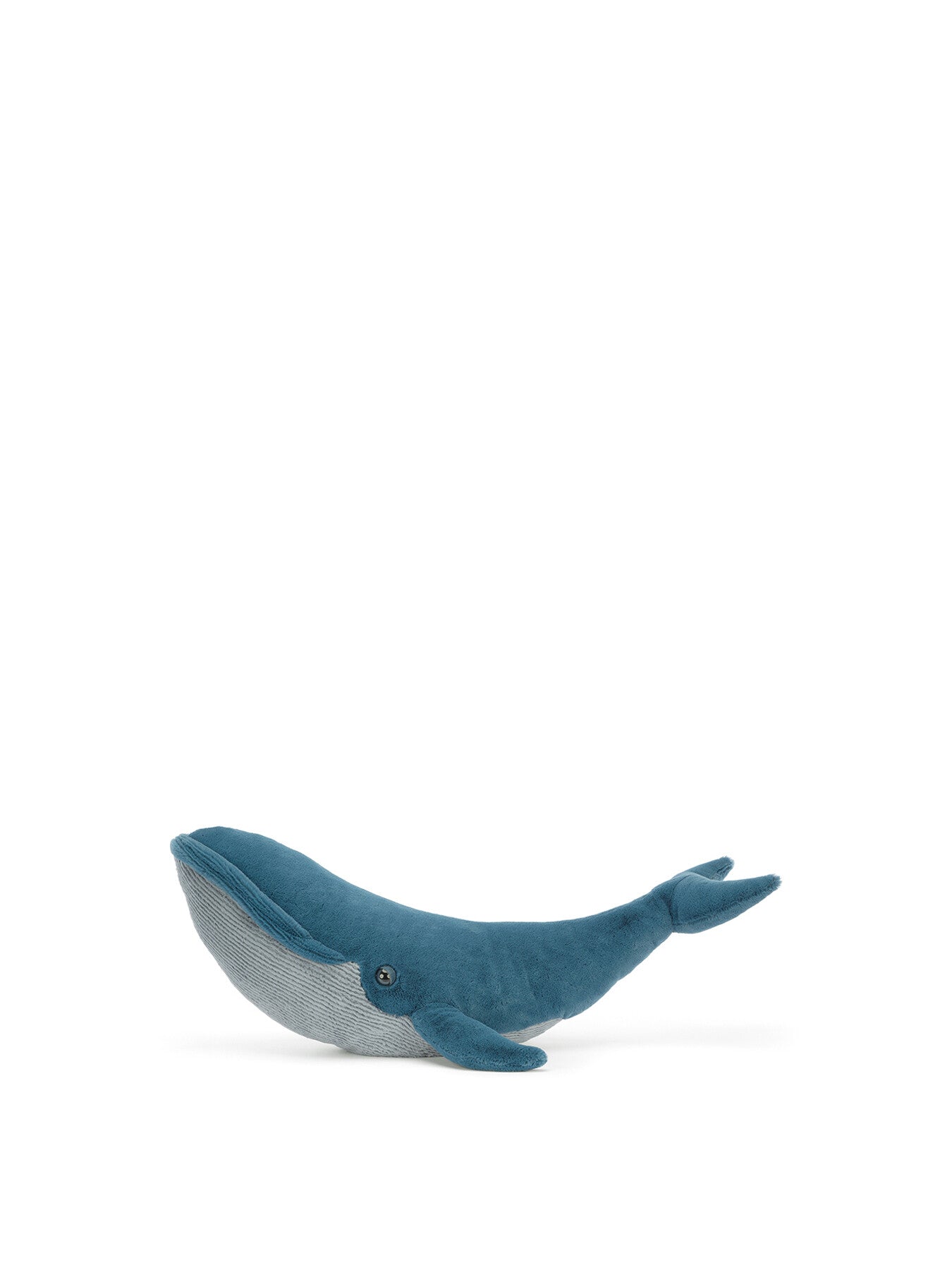 Gilbert the Great Blue Whale