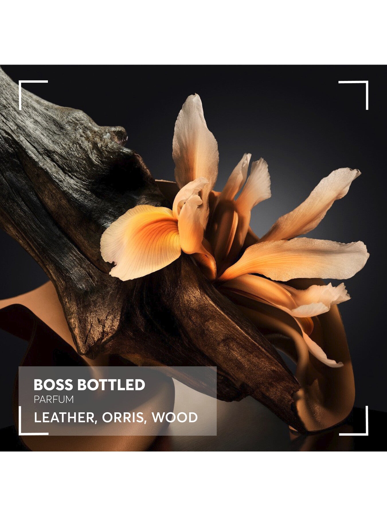 Boss Bottled Parfum 100ml