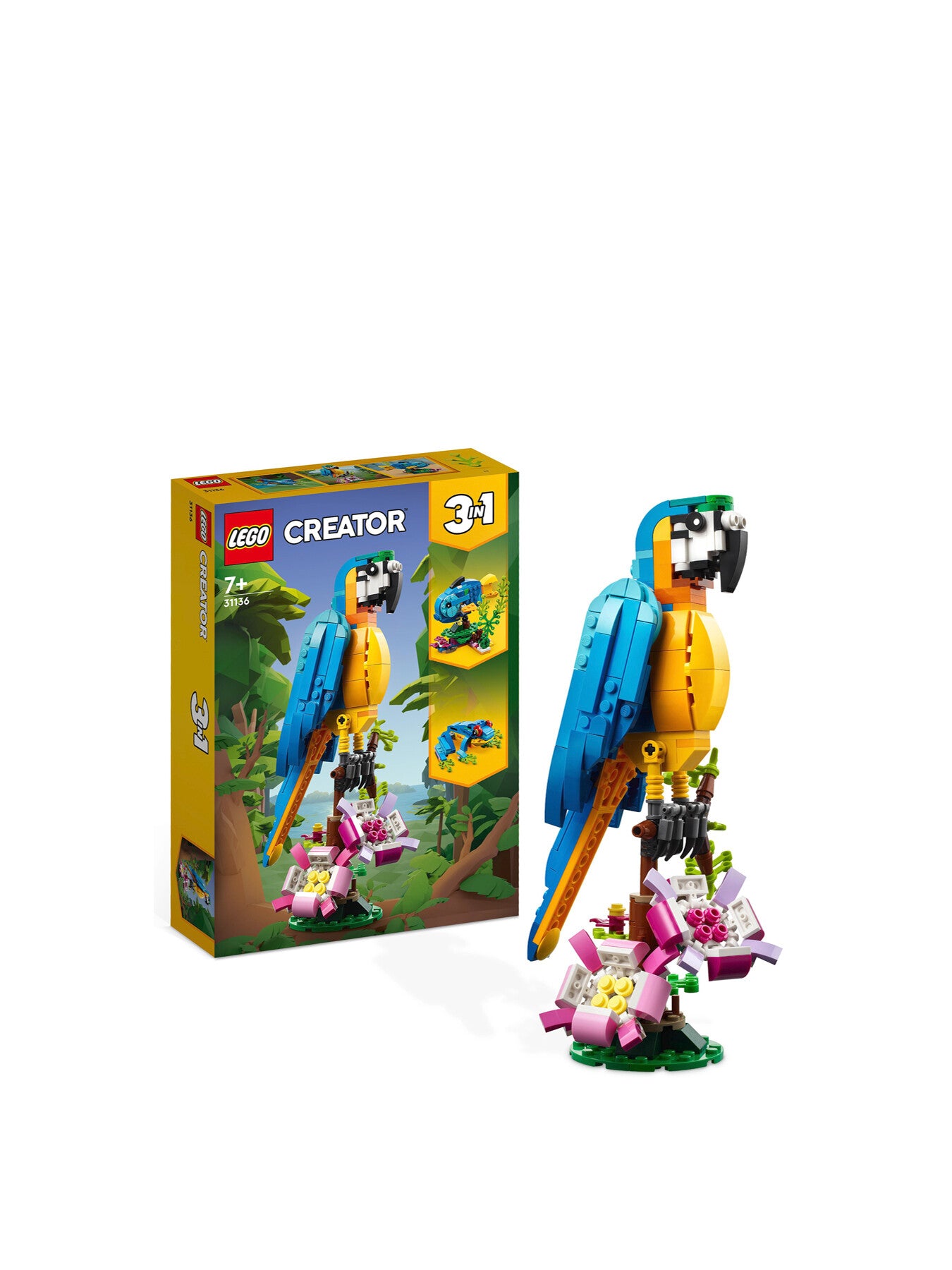 Exotic Parrot 31136