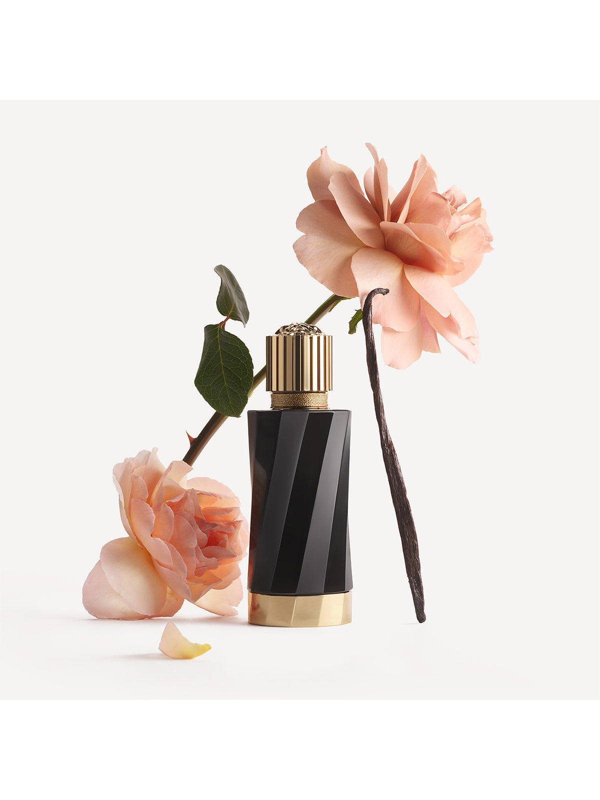 Atelier Versace Vanille Rouge Eau de Parfum 100ml