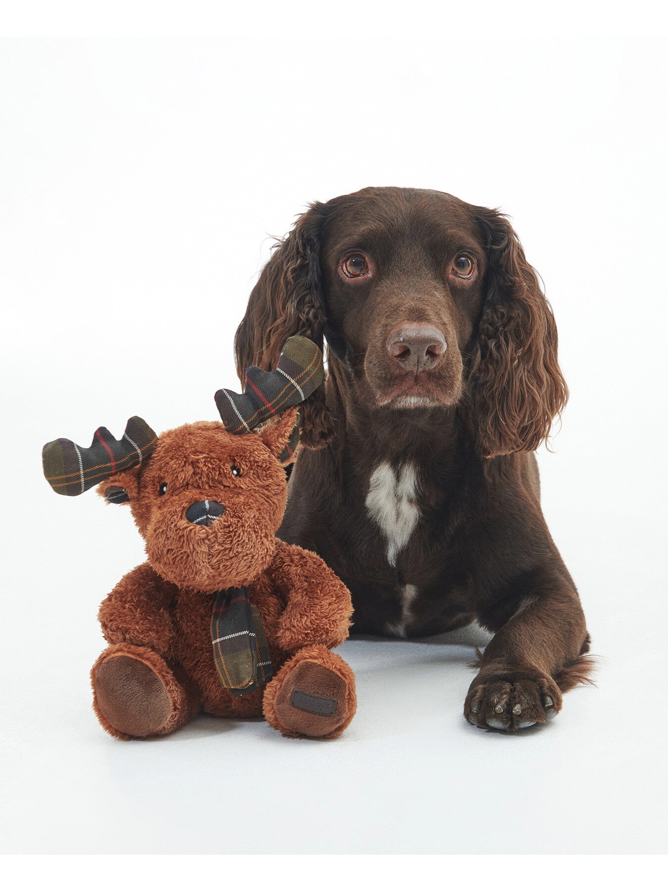 Reindeer Dog Toy