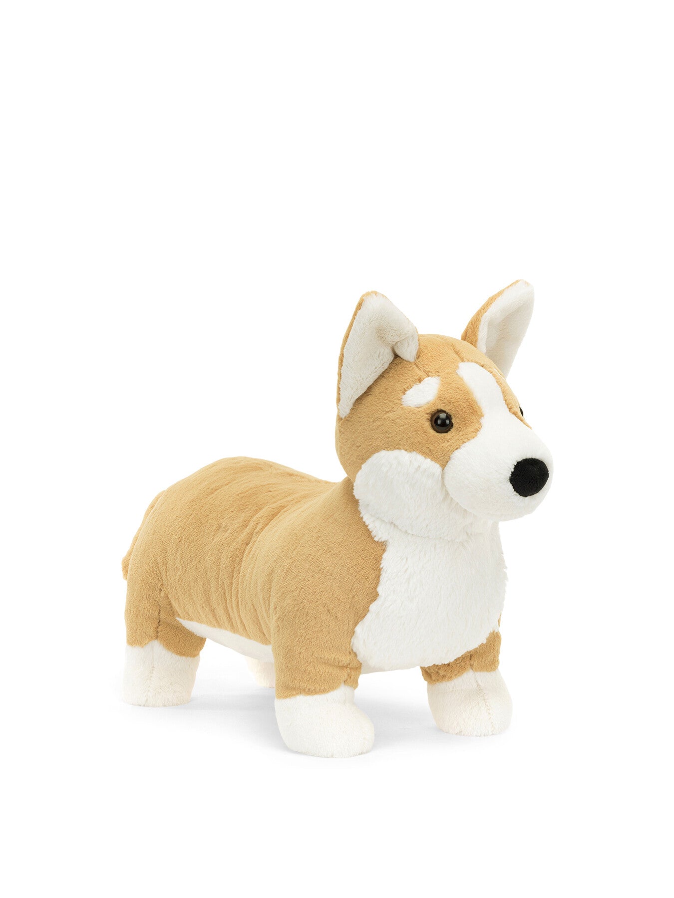 Betty Corgi Big