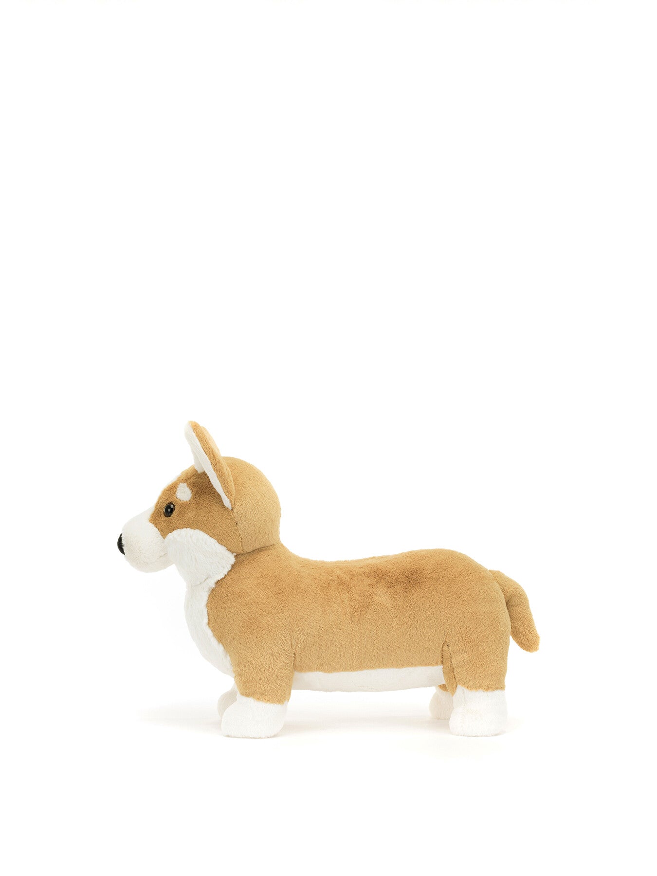 Betty Corgi Big