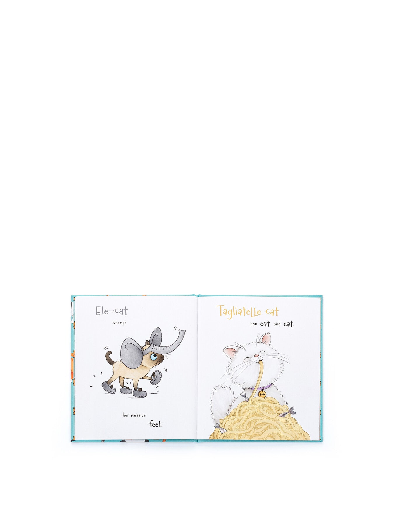 All Kinds of Cats Book