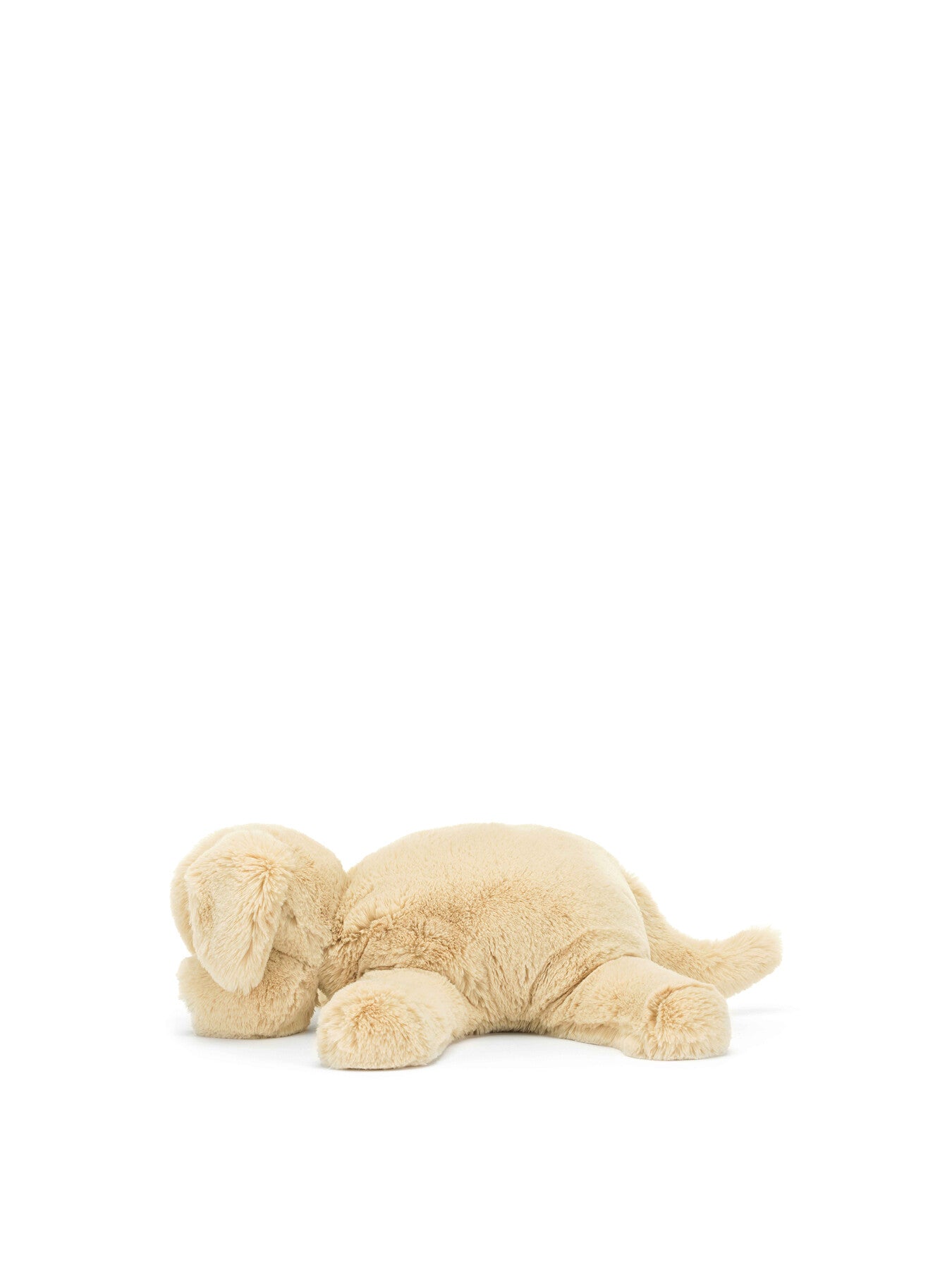 Wanderlust Puppy