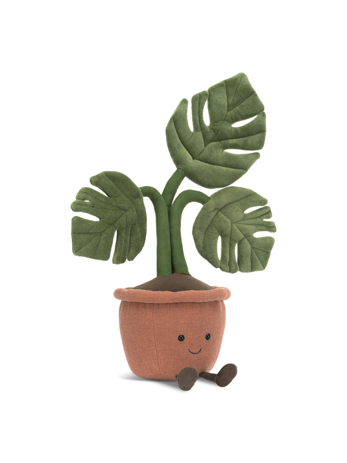 Amuseable Rubber Plant 43cm