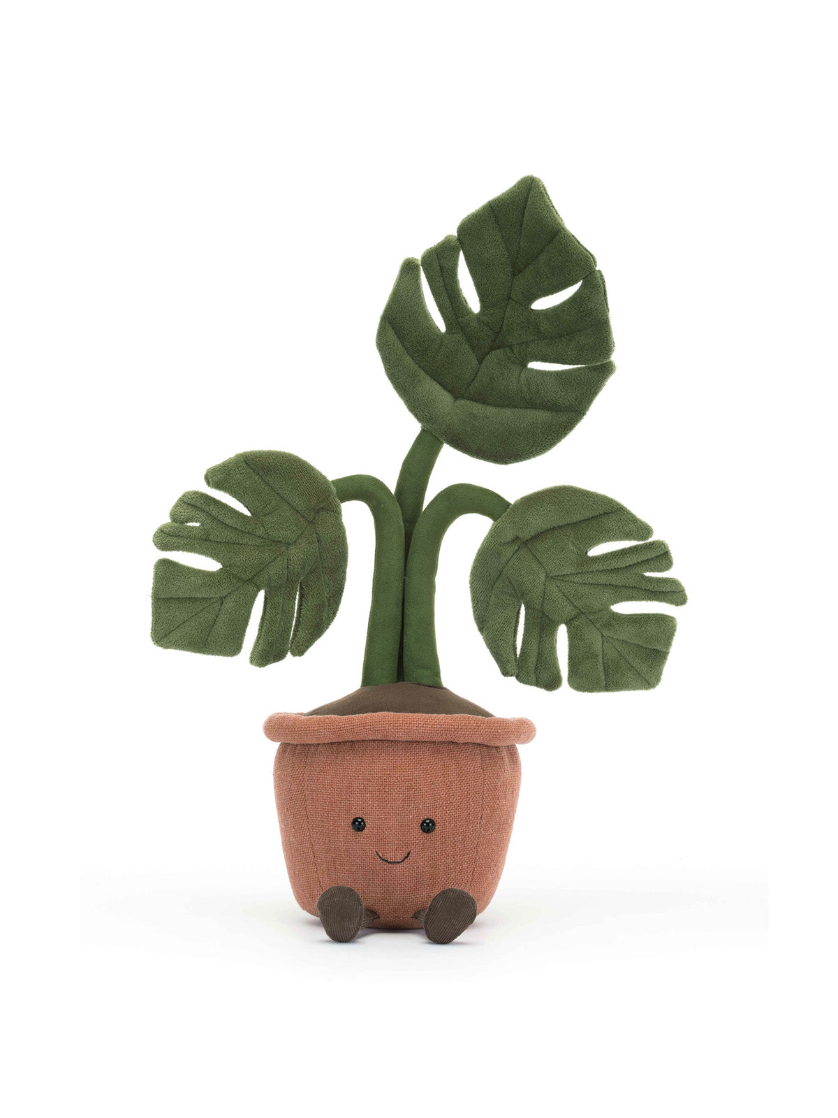 Amuseable Rubber Plant 43cm