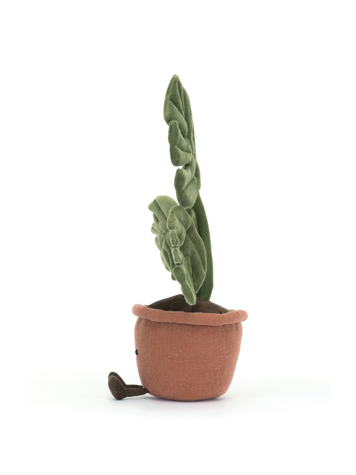 Amuseable Rubber Plant 43cm