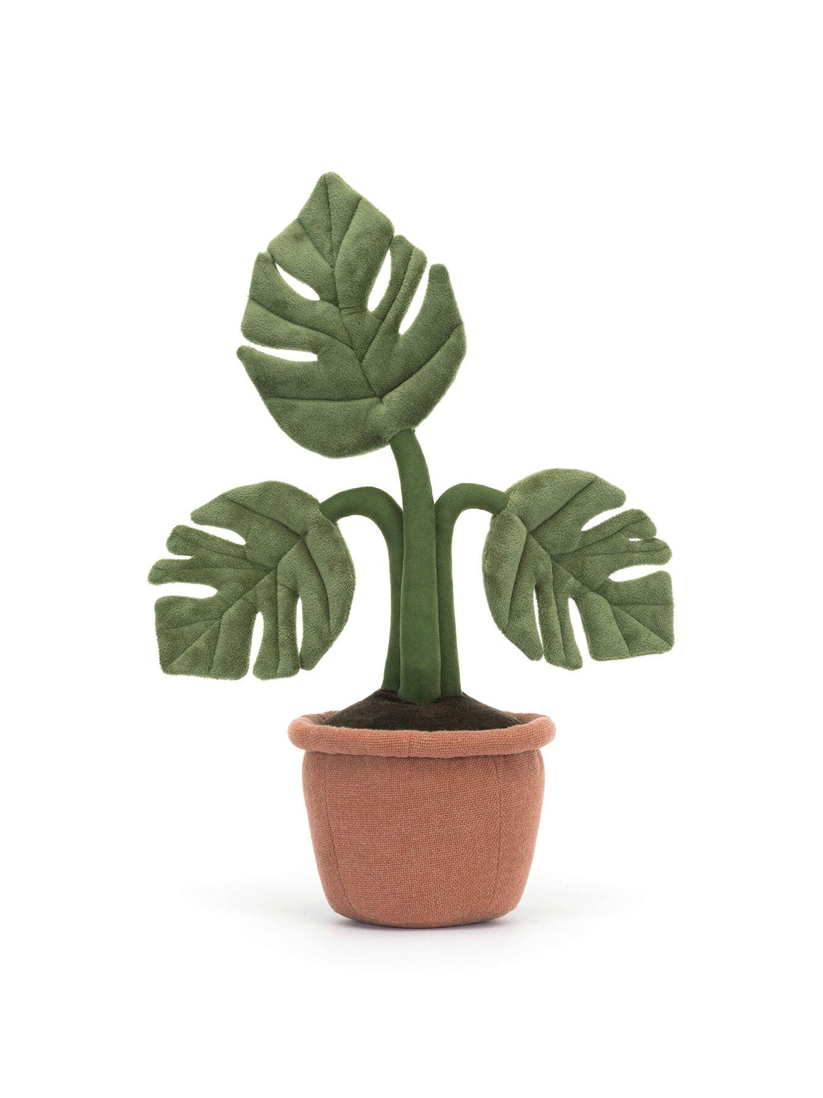 Amuseable Rubber Plant 43cm