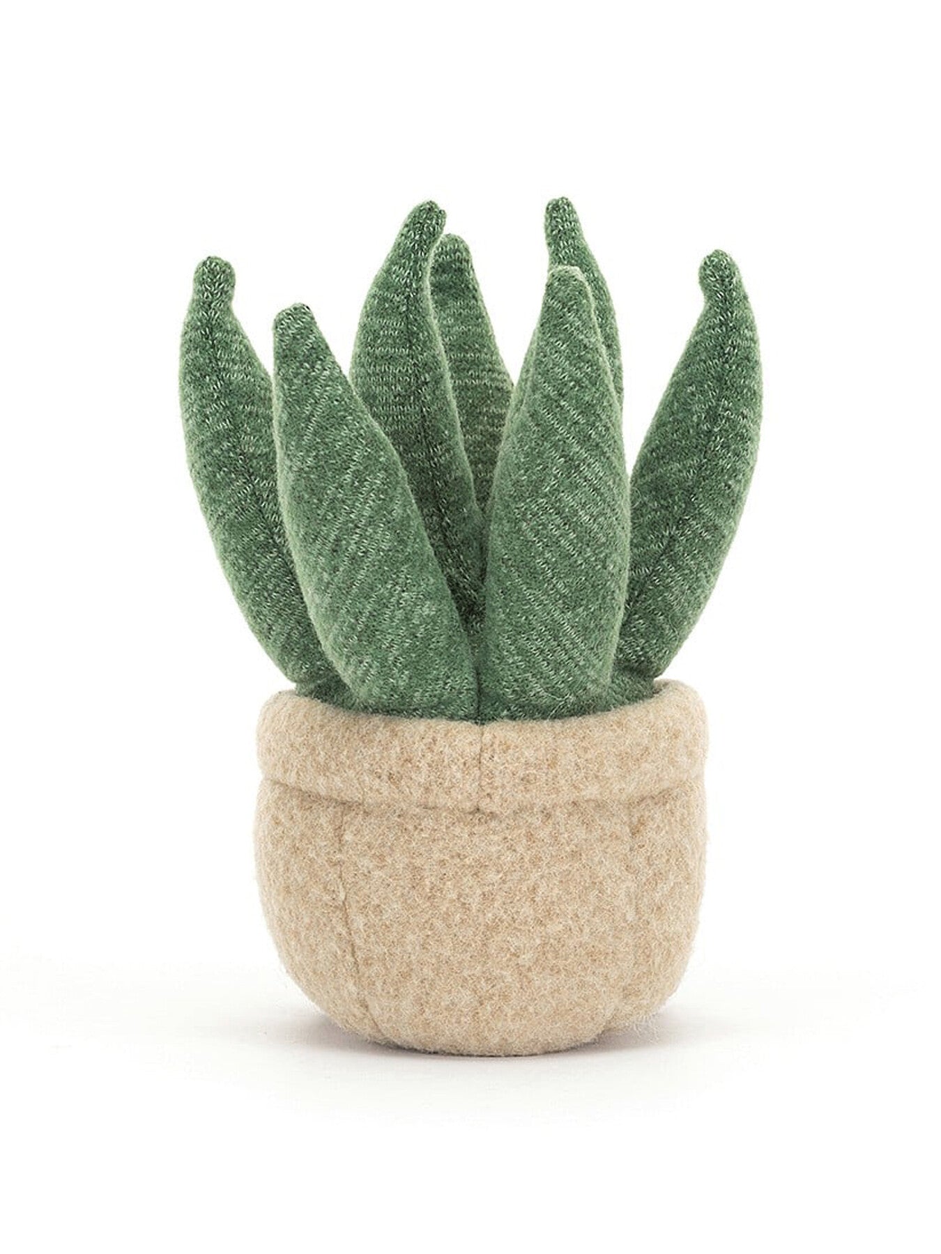 Amuseable Aloe Vera Small