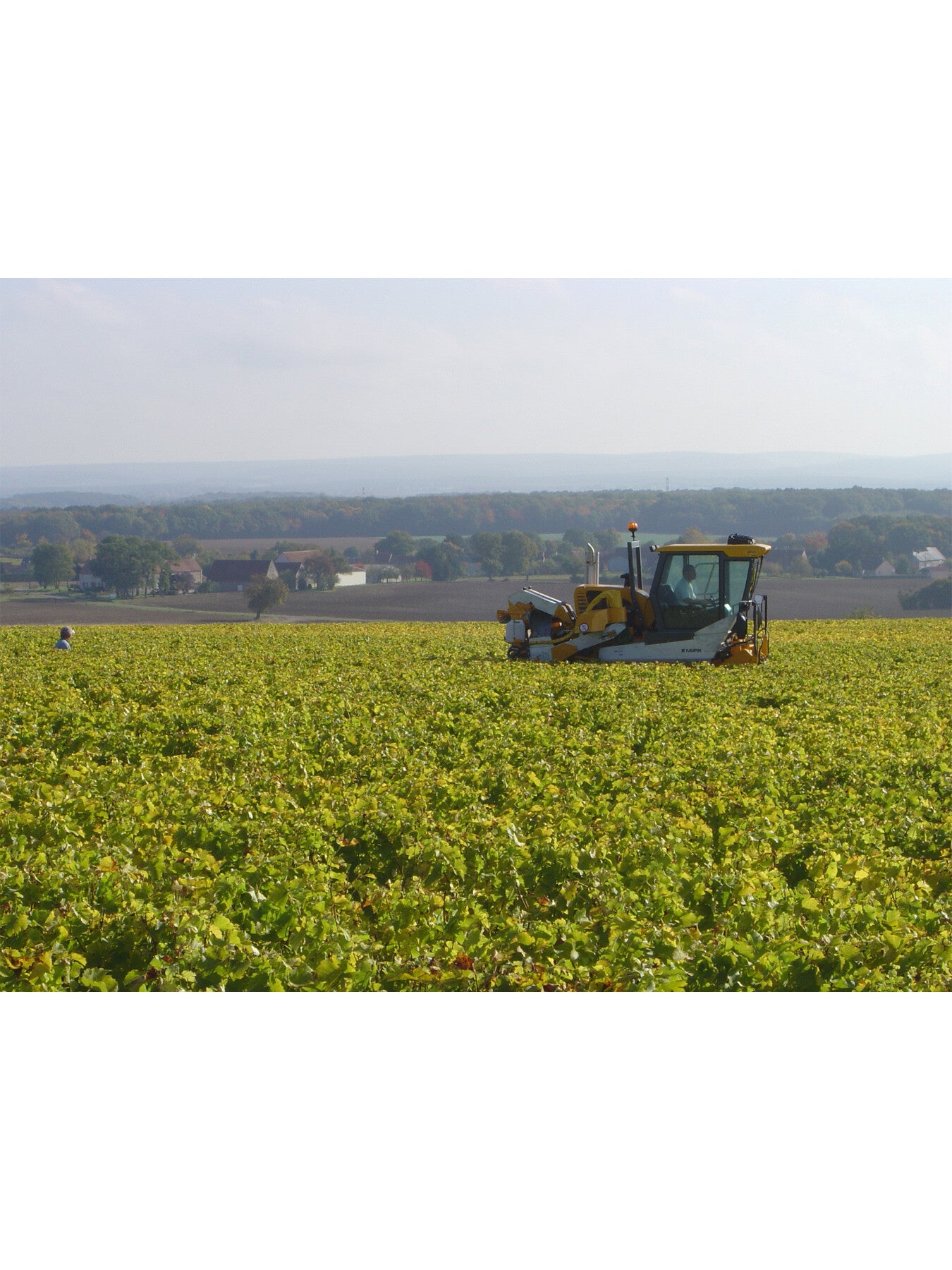 Domaine de Bel-Air Pouilly Fume