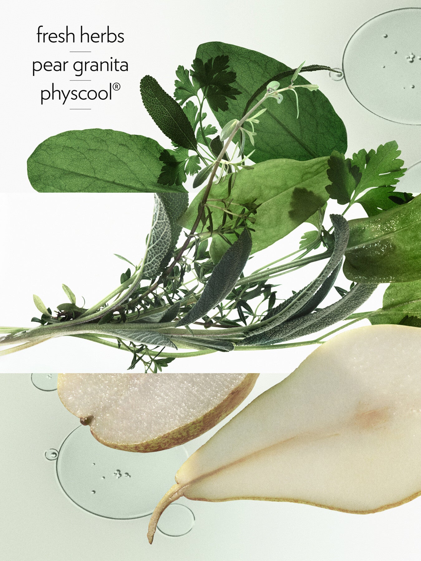 H24 Herbes Vives Eau de Parfum 50ml