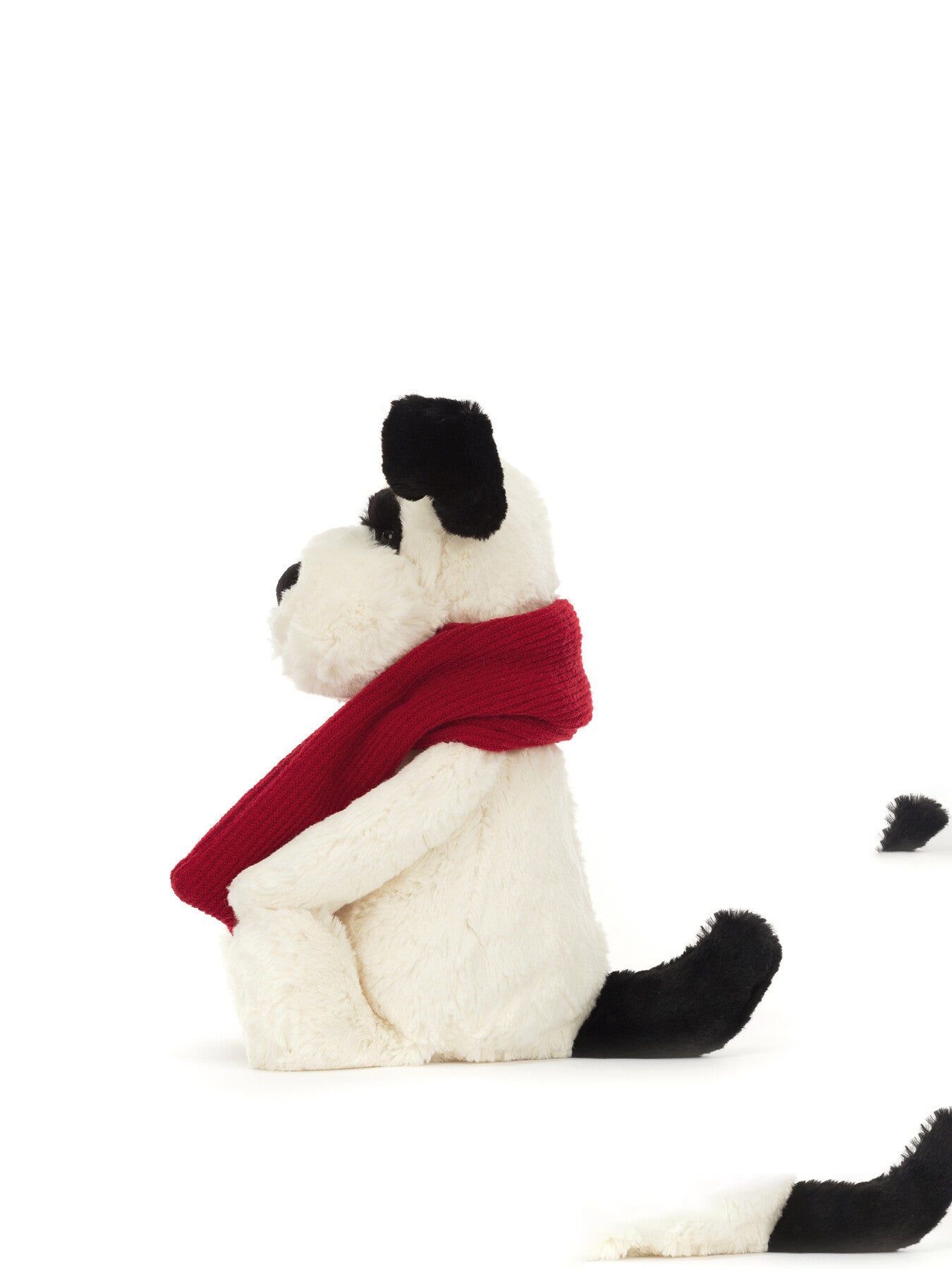 Bashful Winter Puppy