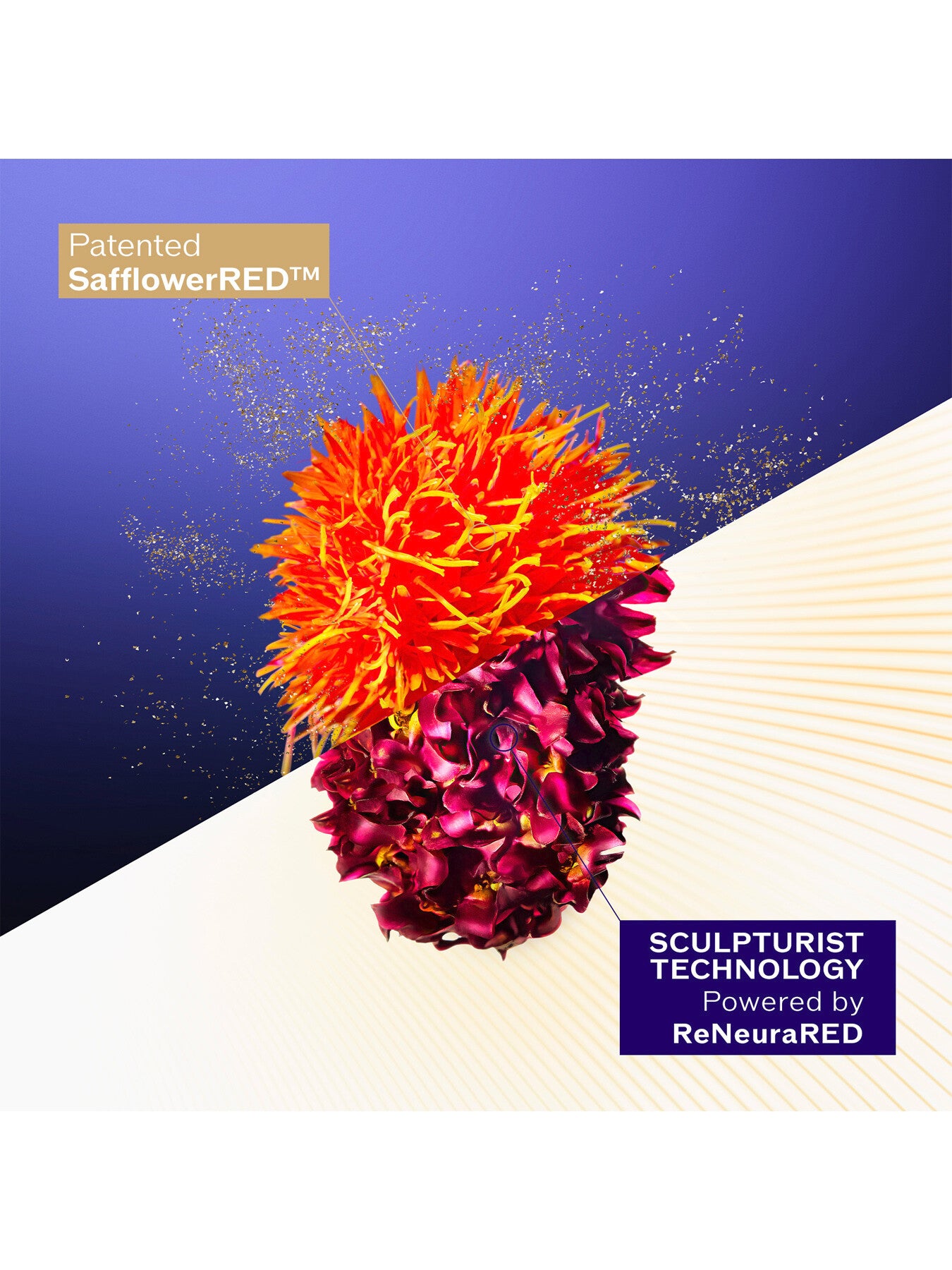 Shiseido Vital Perfection Concentrated Supreme Cream Refill 50ml