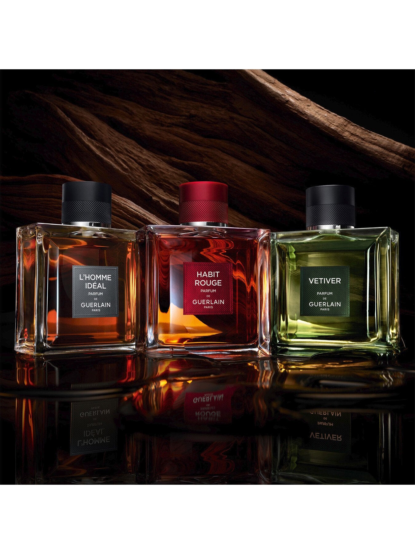 Vetiver Le Parfum Eau de Parfum 100ml