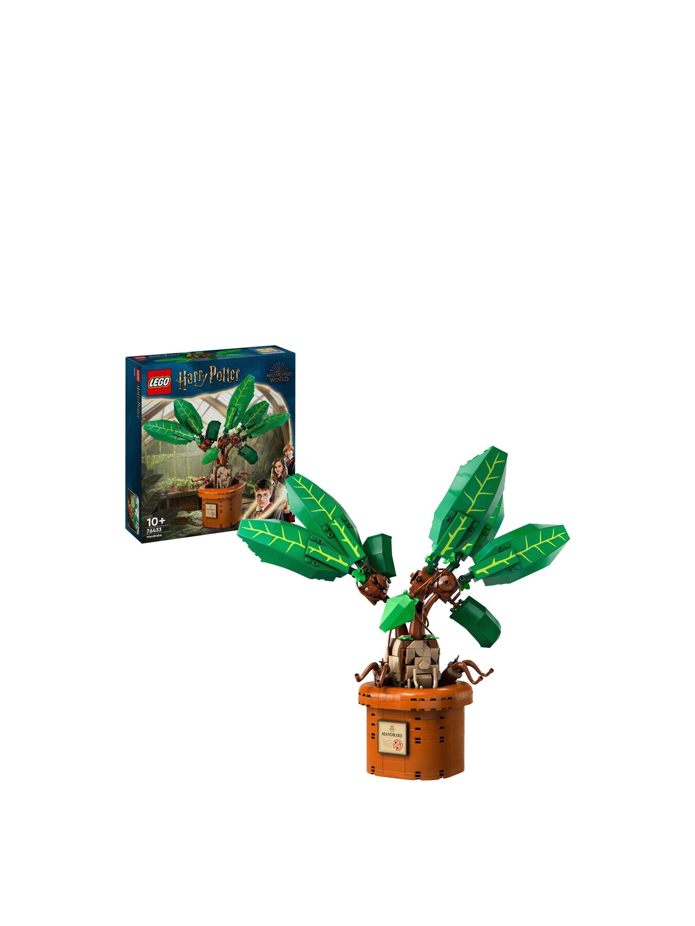 Mandrake 76433