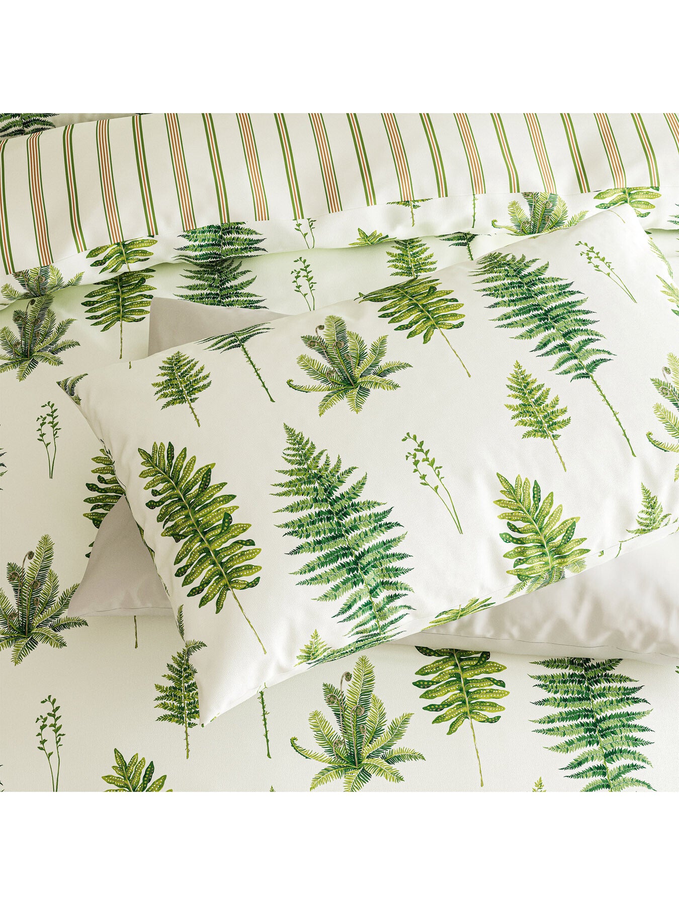 Fernery Cover Set