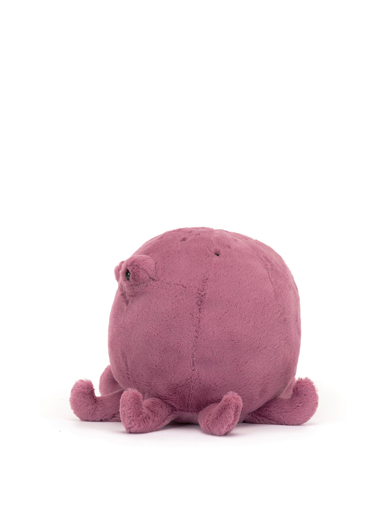Ondre Octopus