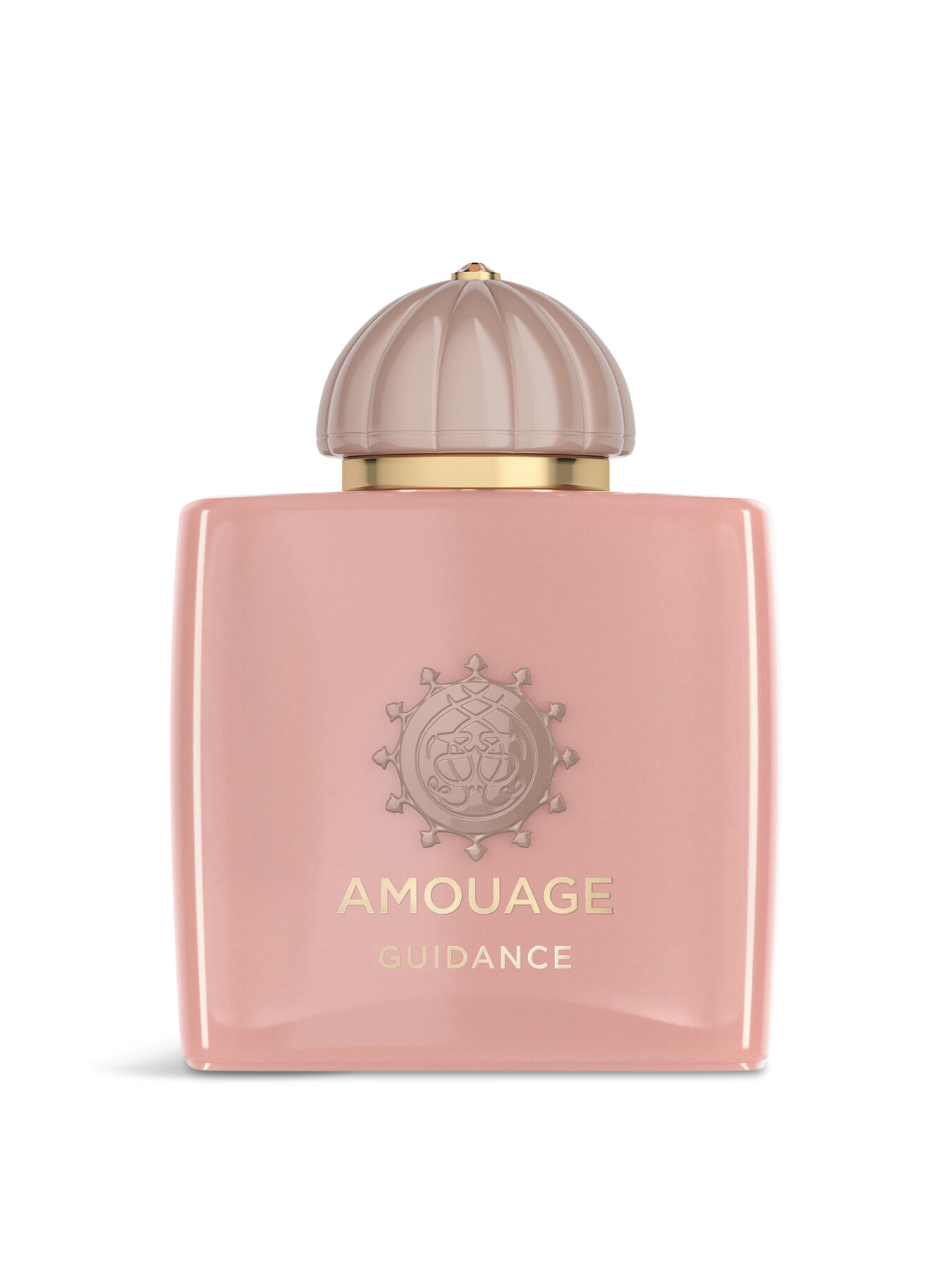 Amouage Guidance 100ml 並行輸入品 Guidance Eau de Parfum 100ml – Fenwick
