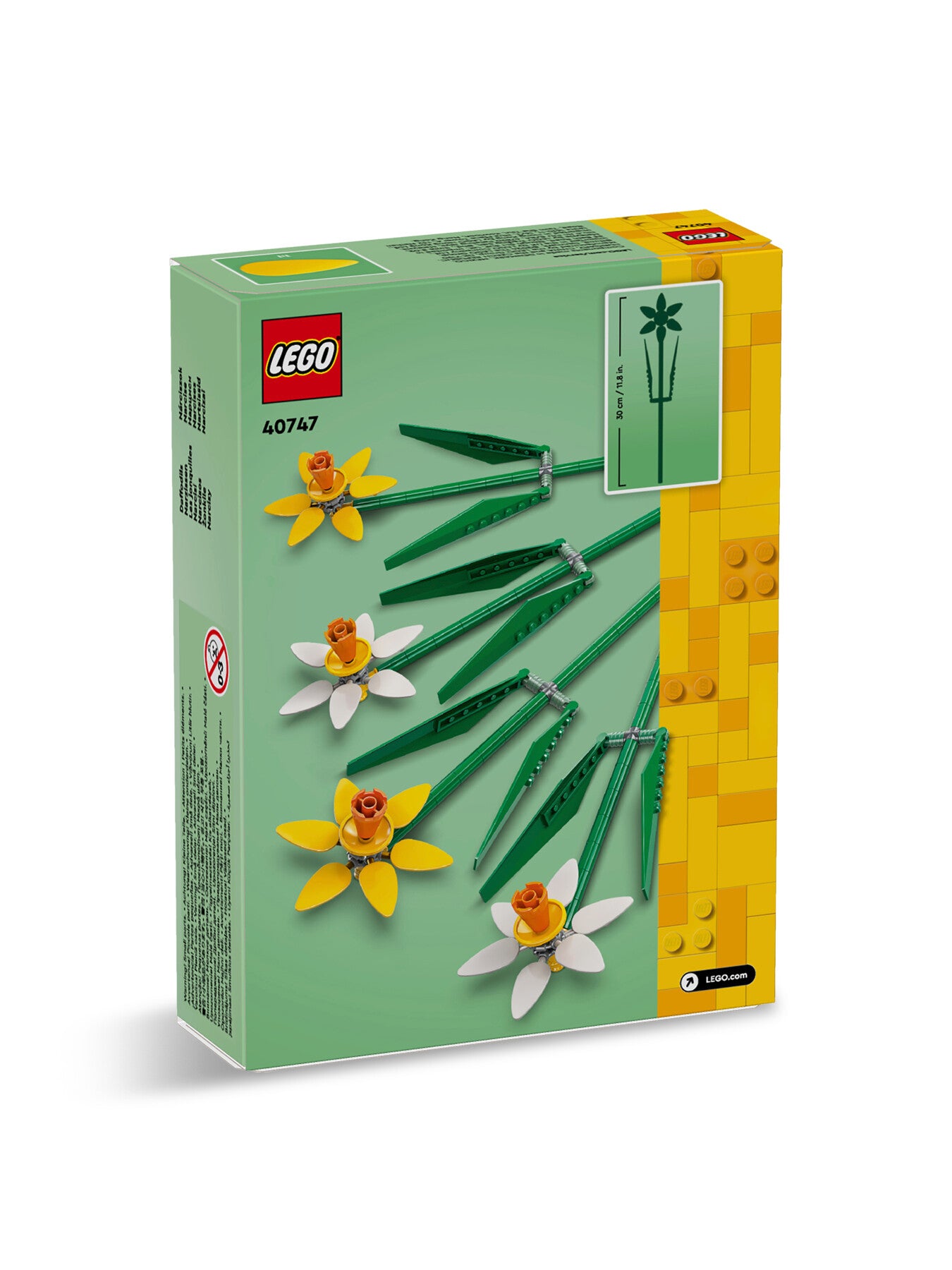 Daffodils 40747